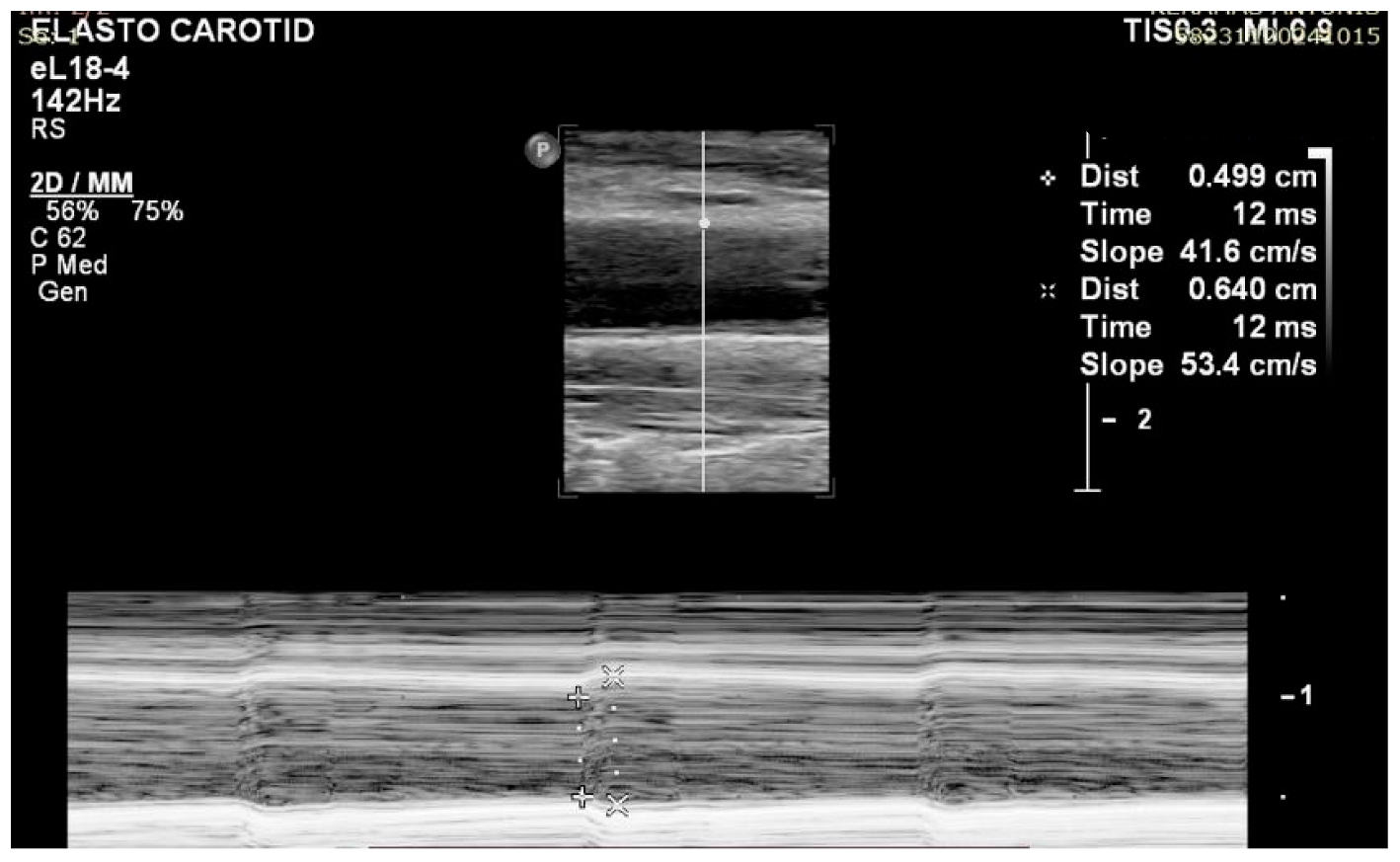 Diagnostics 15 00303 g001