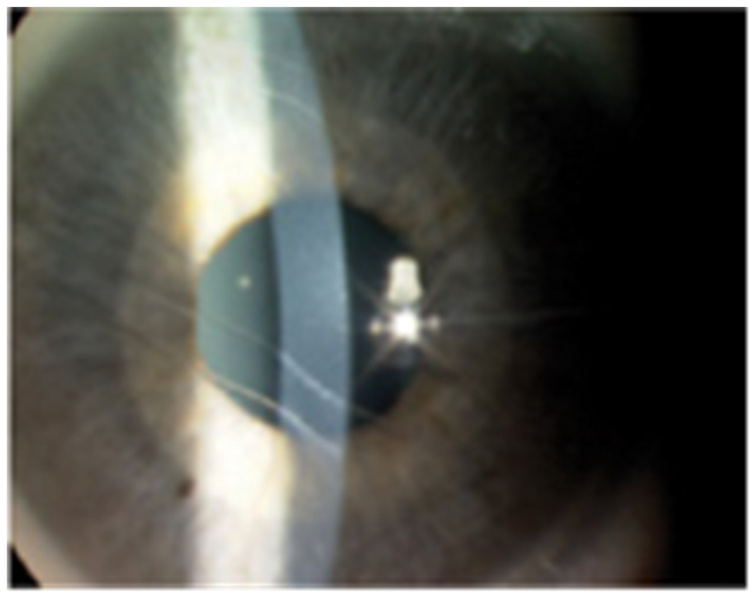 Diagnostics 15 00308 g002