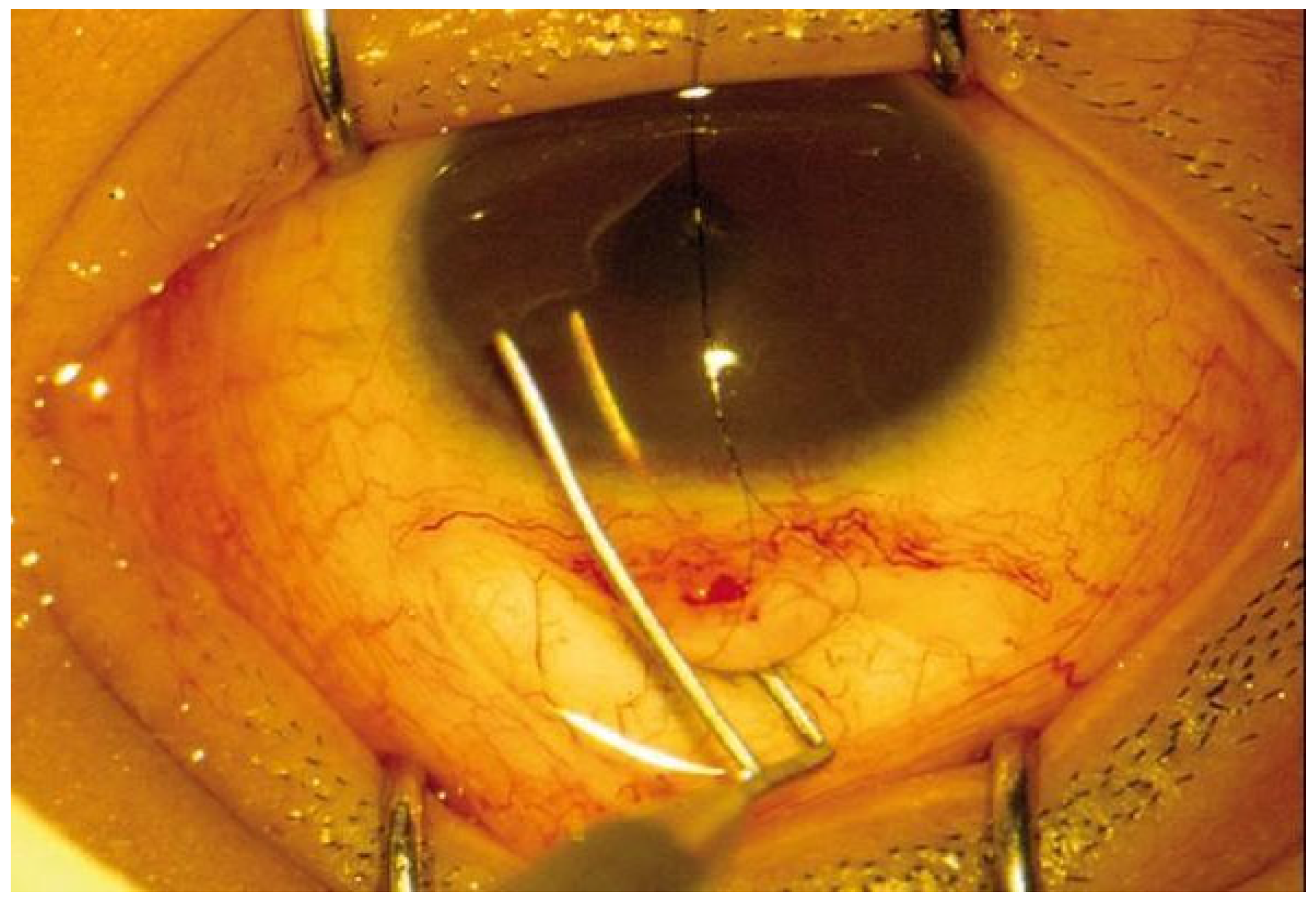 Diagnostics 15 00308 g003