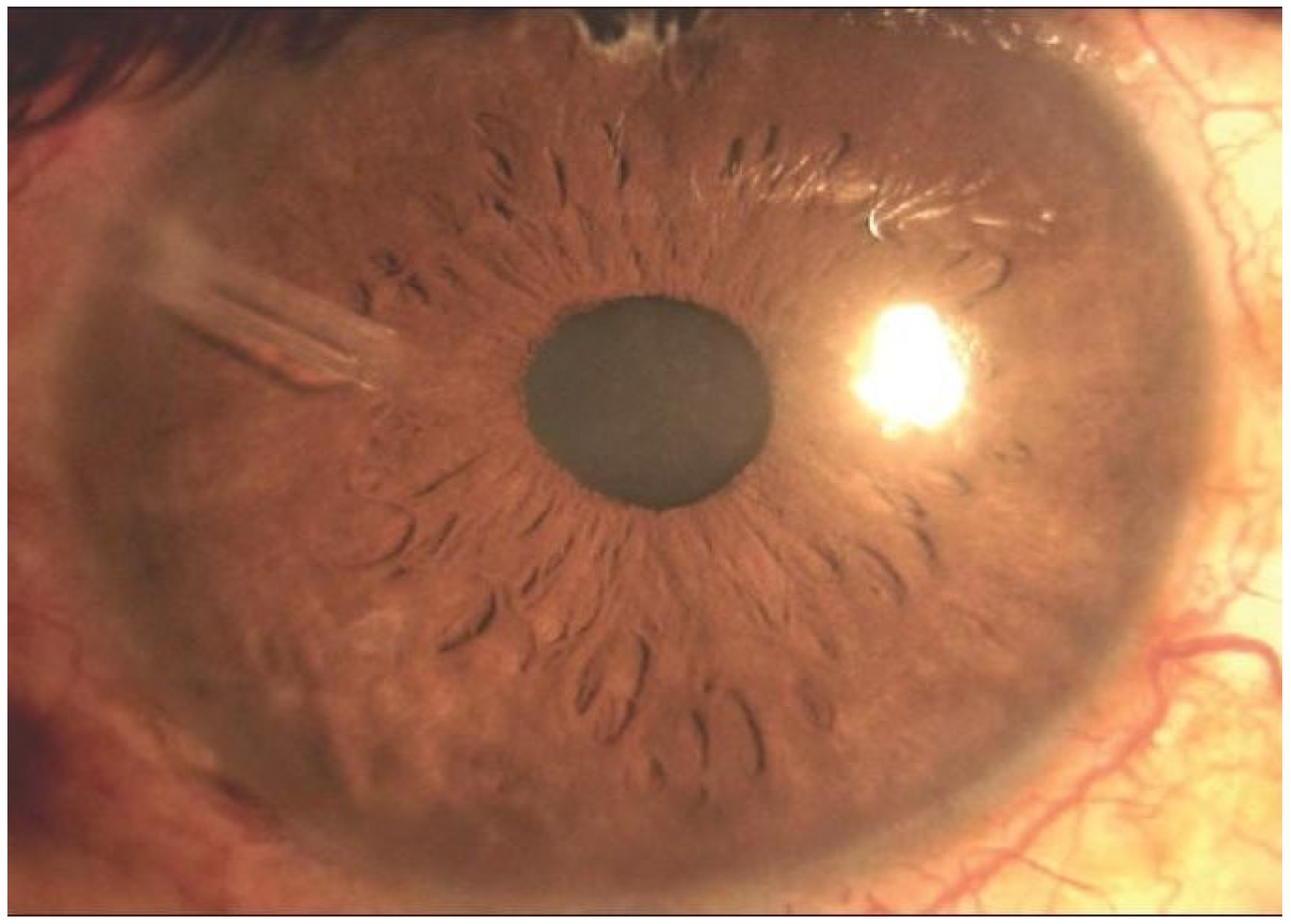 Diagnostics 15 00308 g004