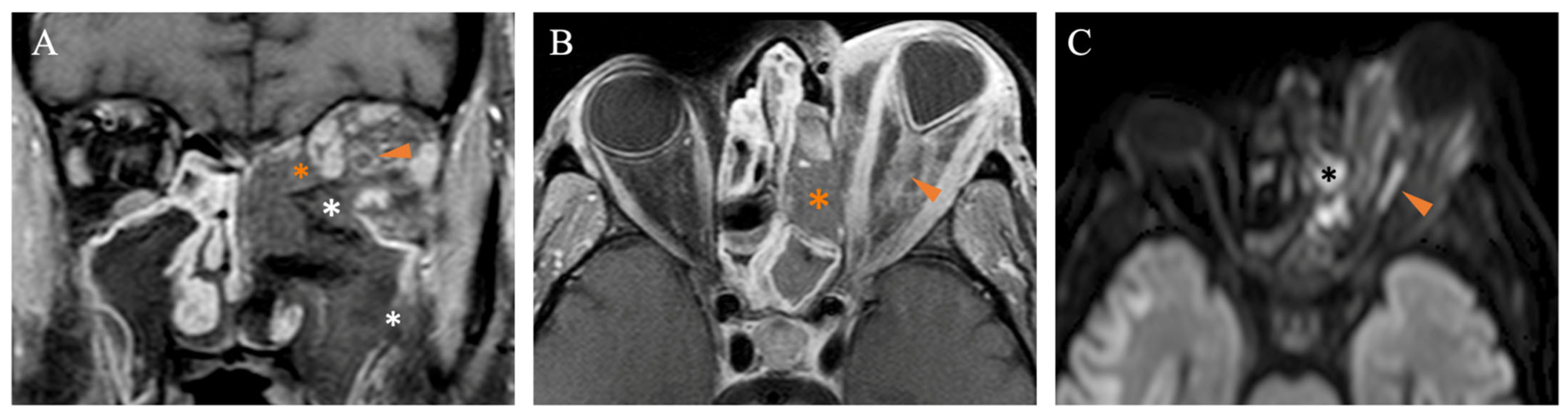 Diagnostics 15 00311 g007