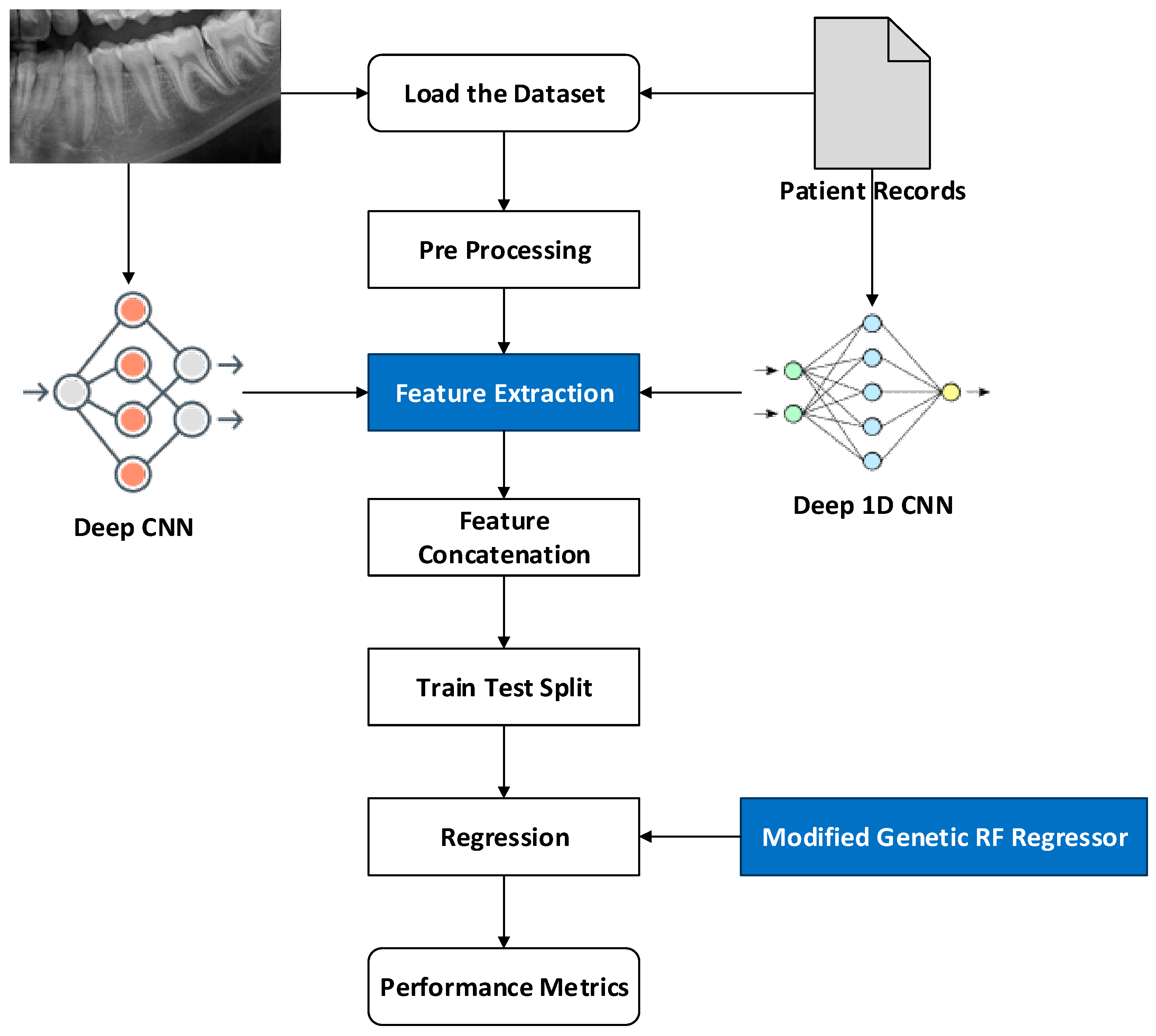 Diagnostics 15 00314 g001