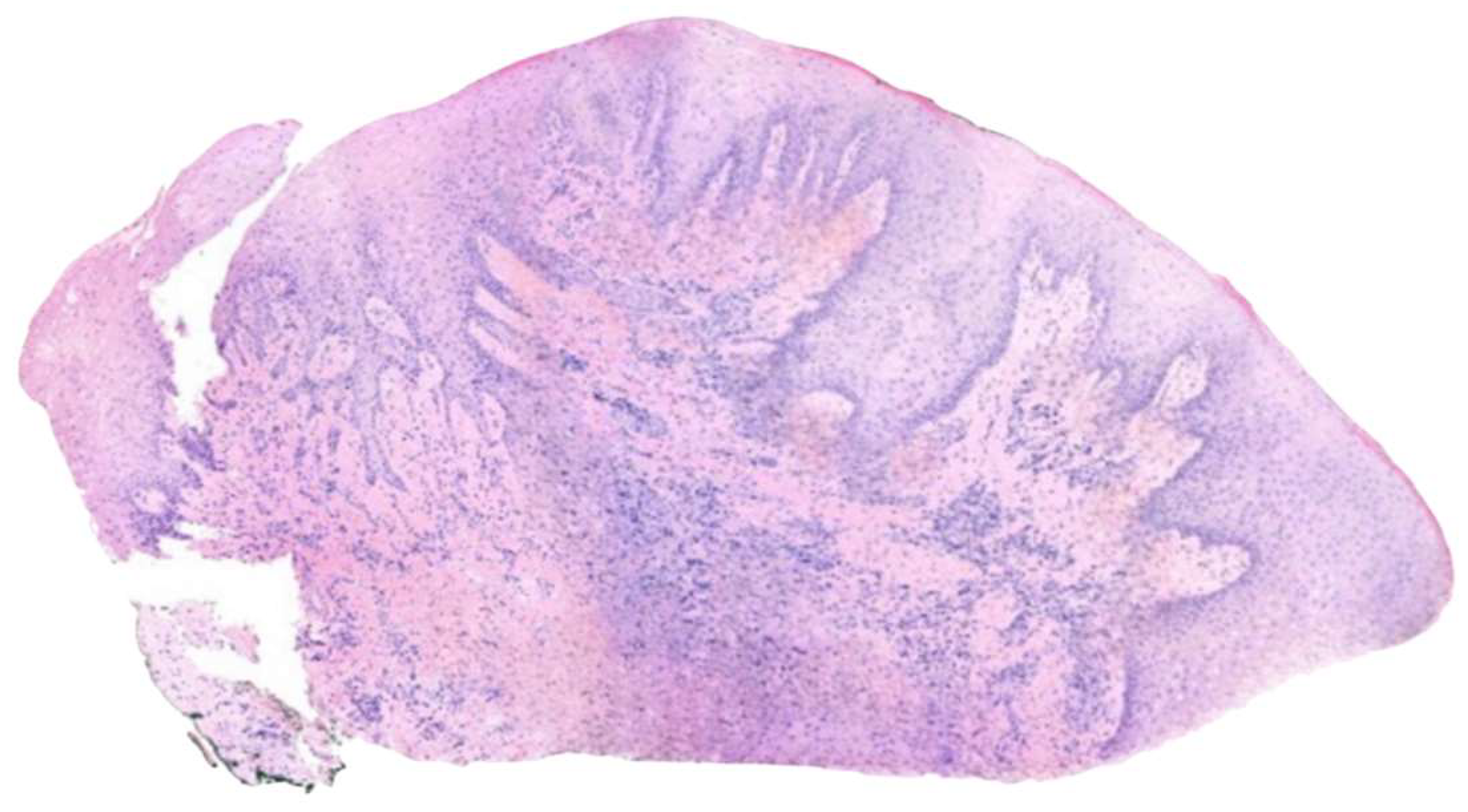 Diagnostics 15 00320 g008 Diagnostics 15 00320 g008