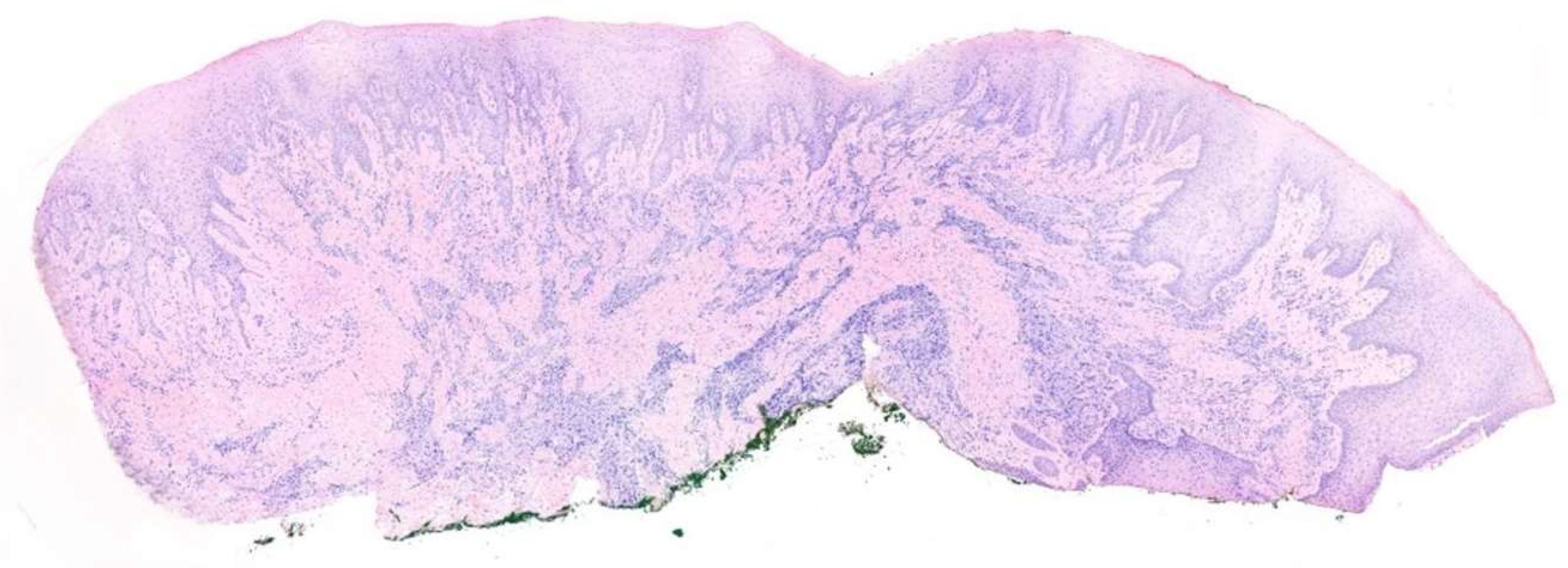 Diagnostics 15 00320 g009 Diagnostics 15 00320 g009