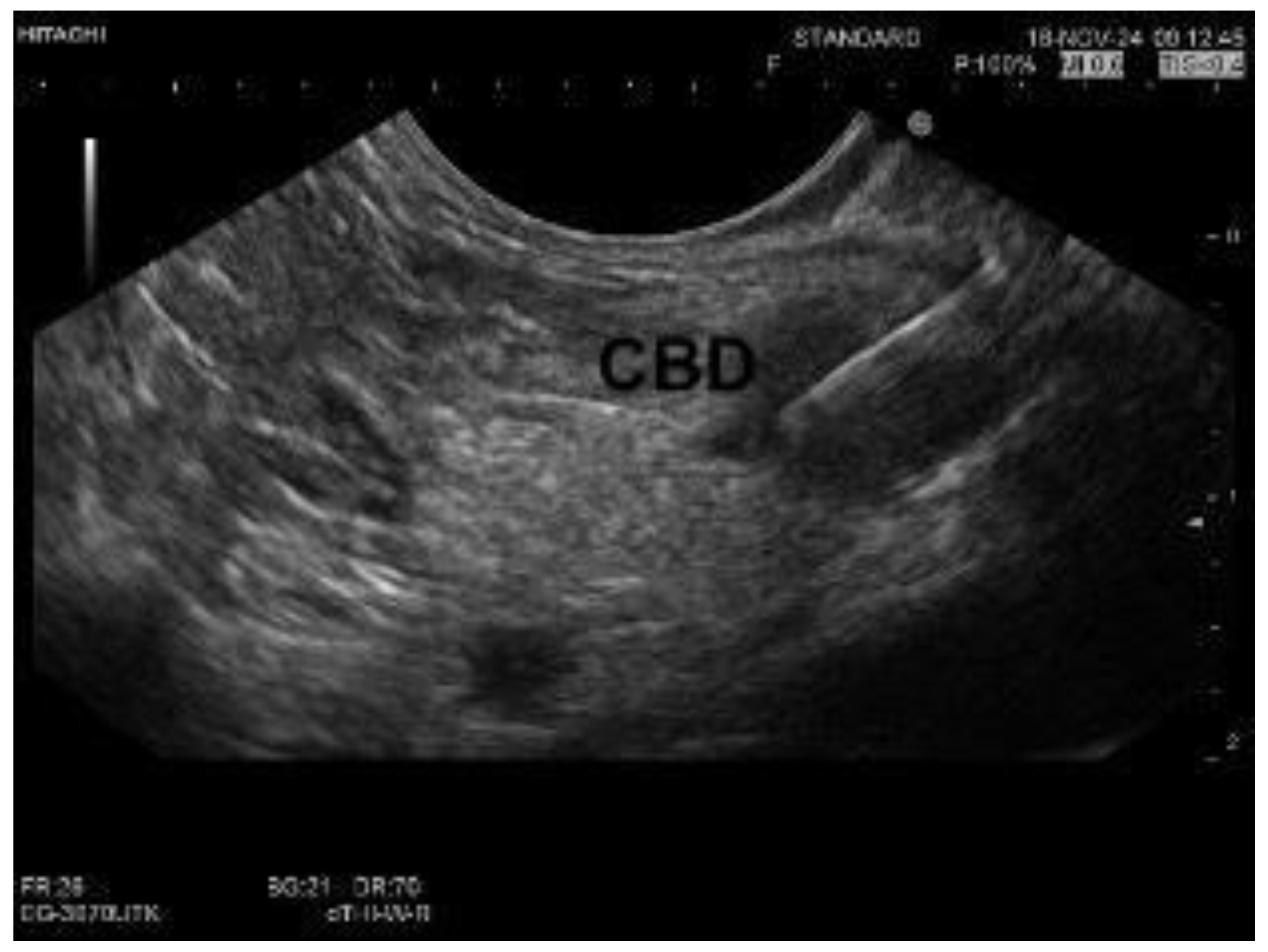 Diagnostics 15 00325 g001