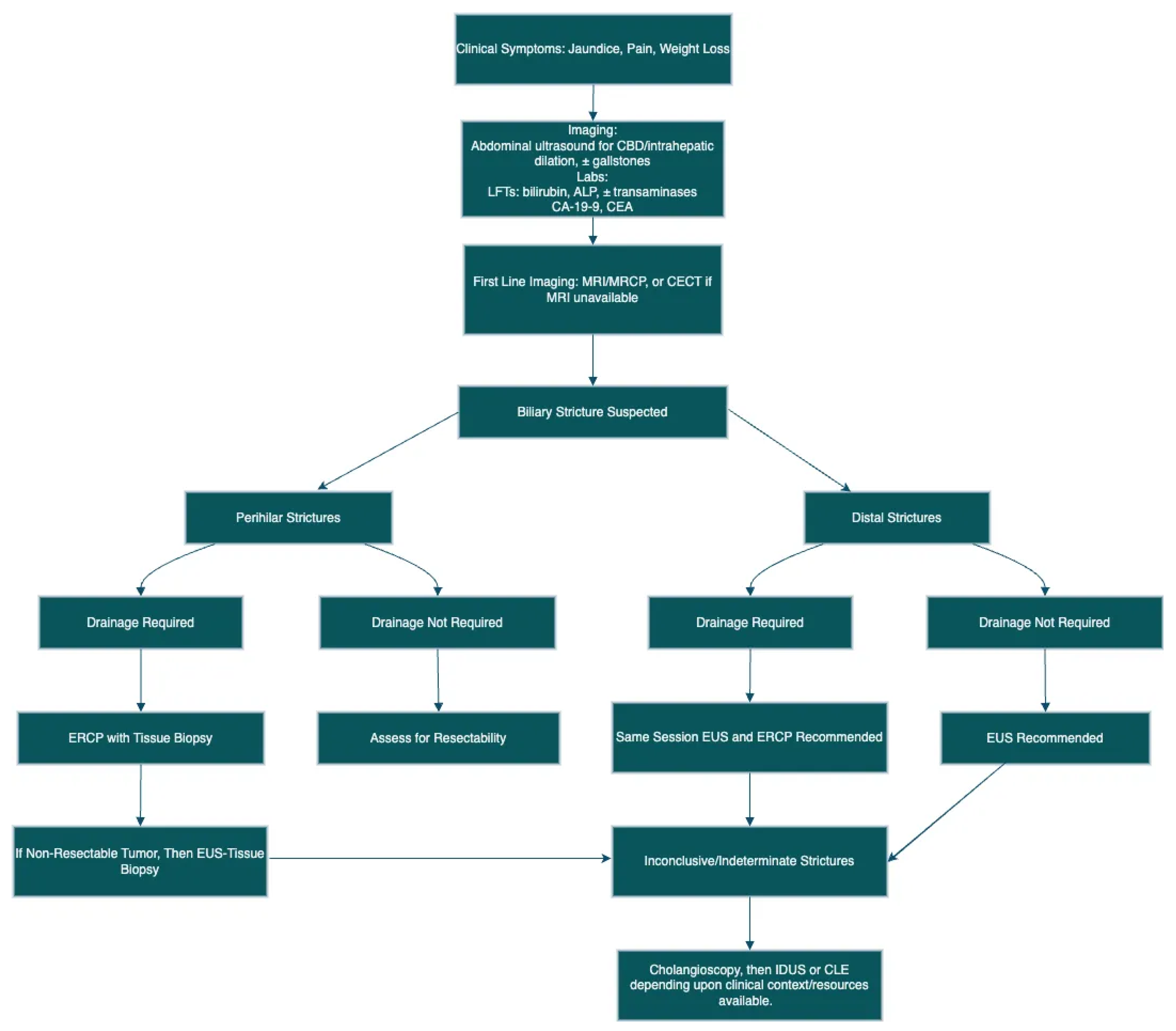 Diagnostics 15 00325 g004