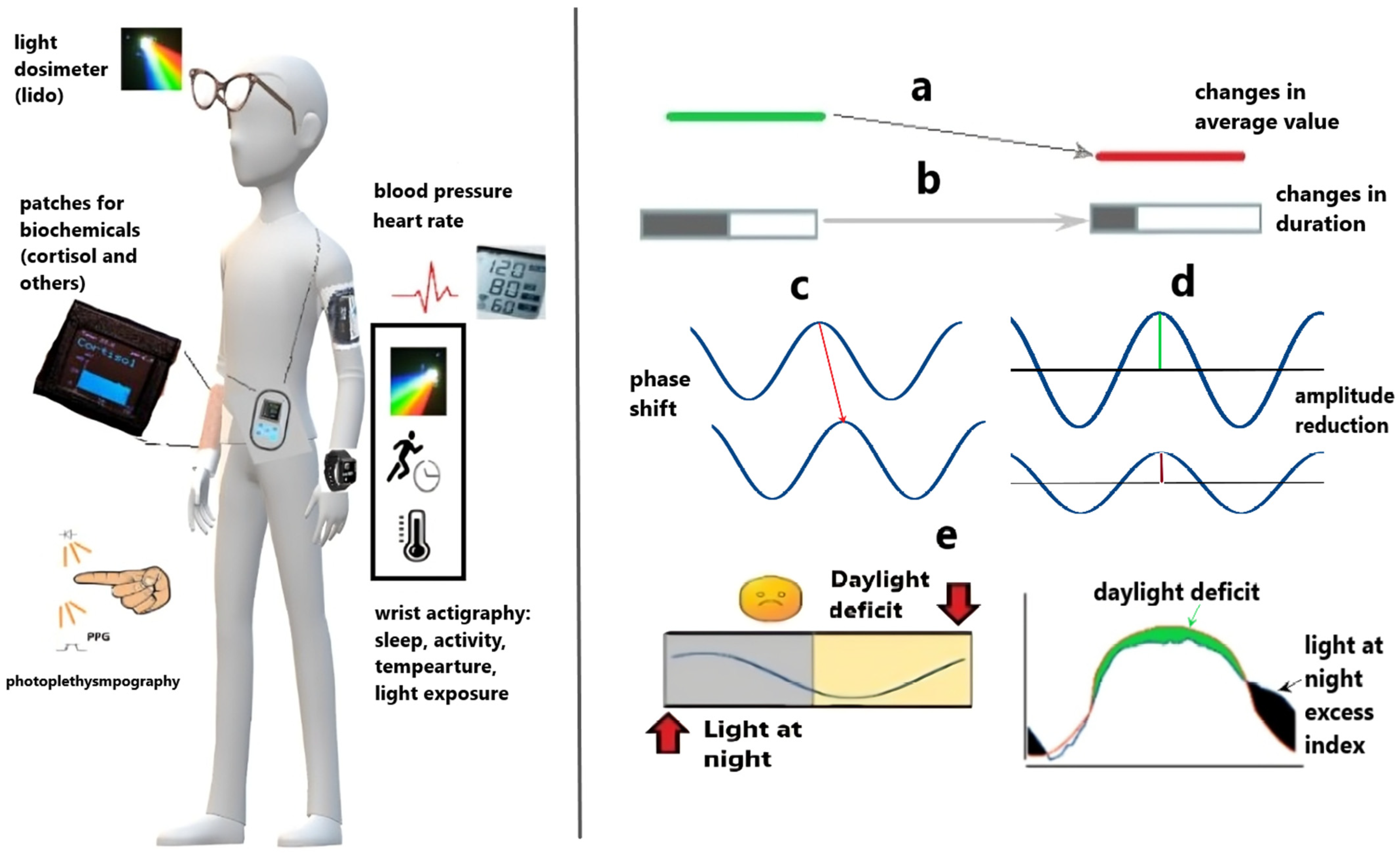Diagnostics 15 00327 g001