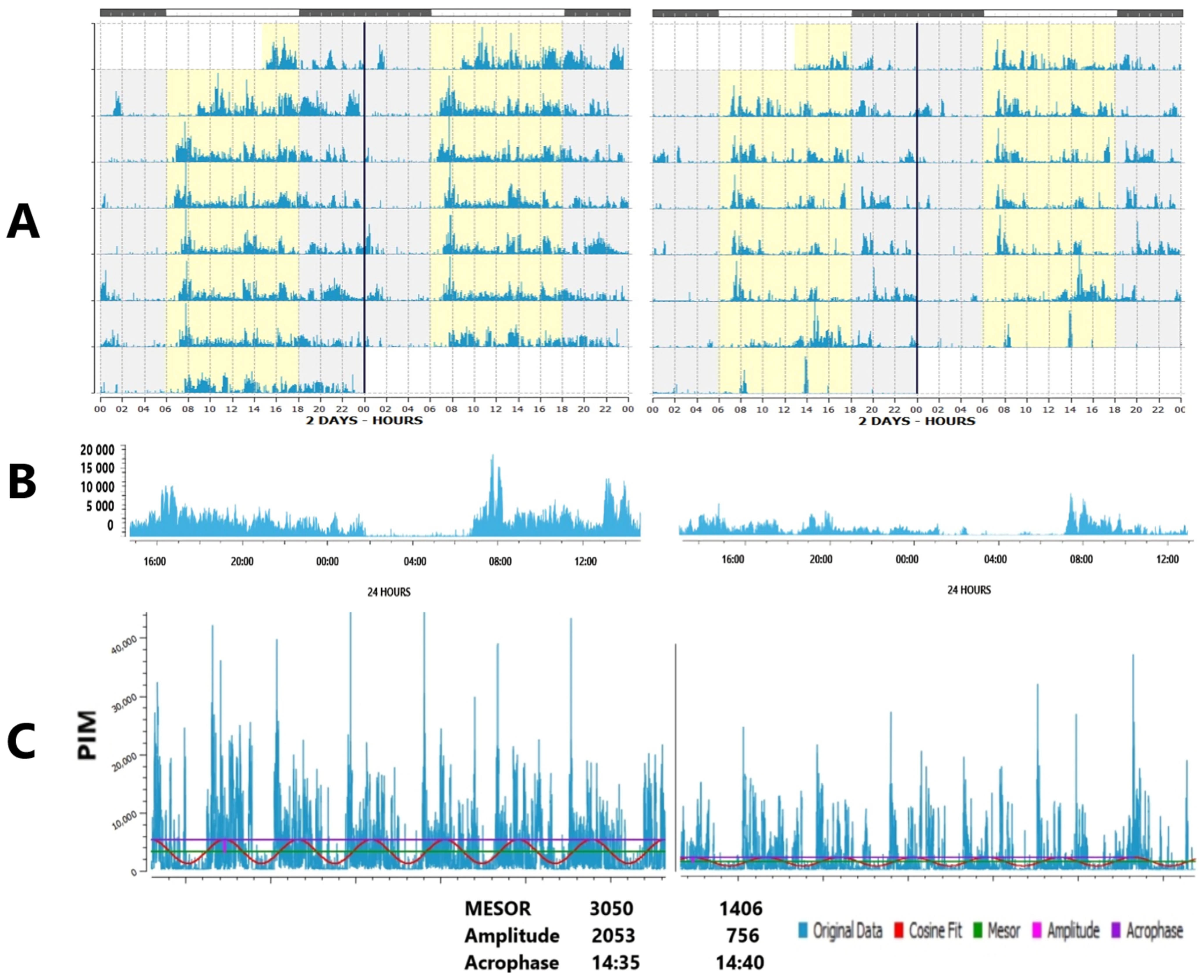 Diagnostics 15 00327 g002