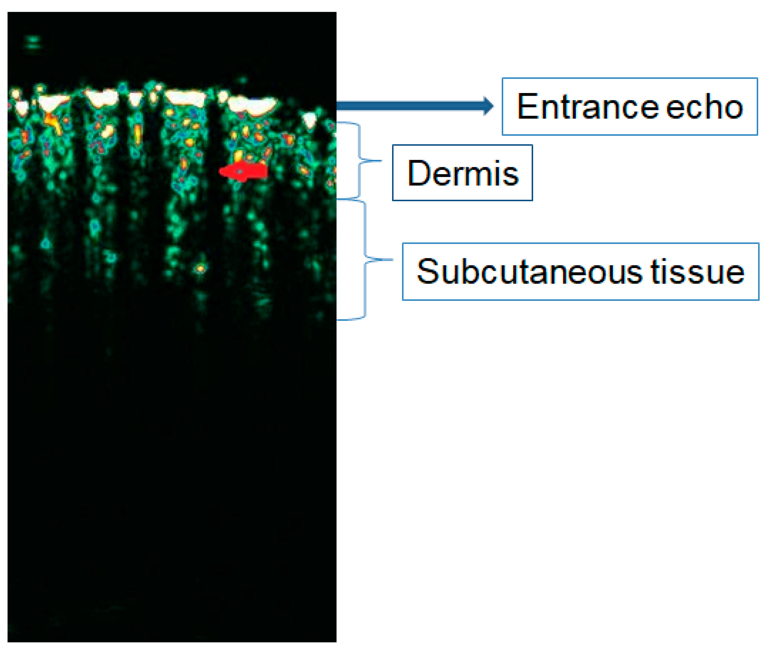 Diagnostics 15 00332 g001