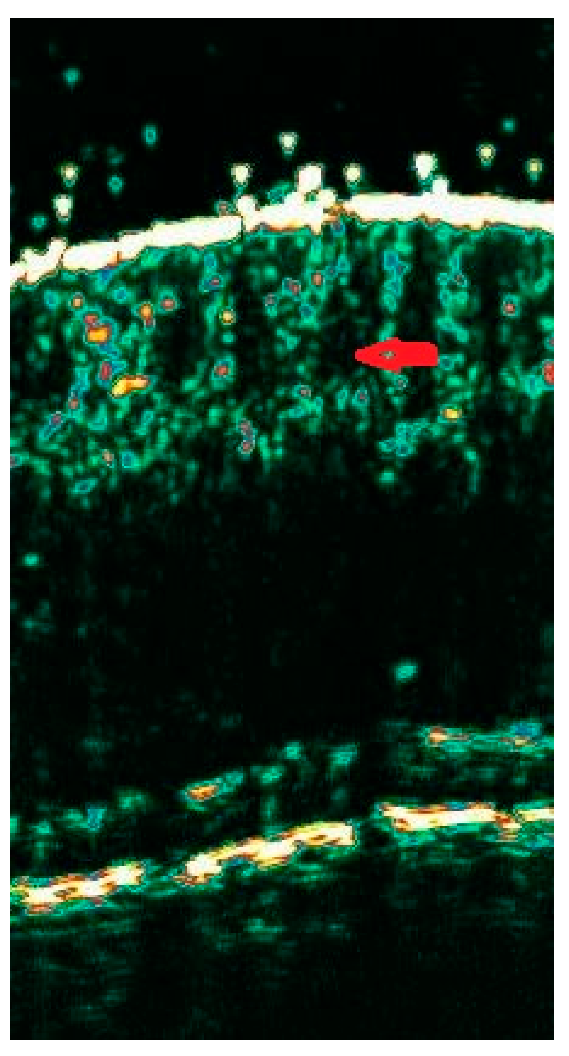 Diagnostics 15 00332 g002