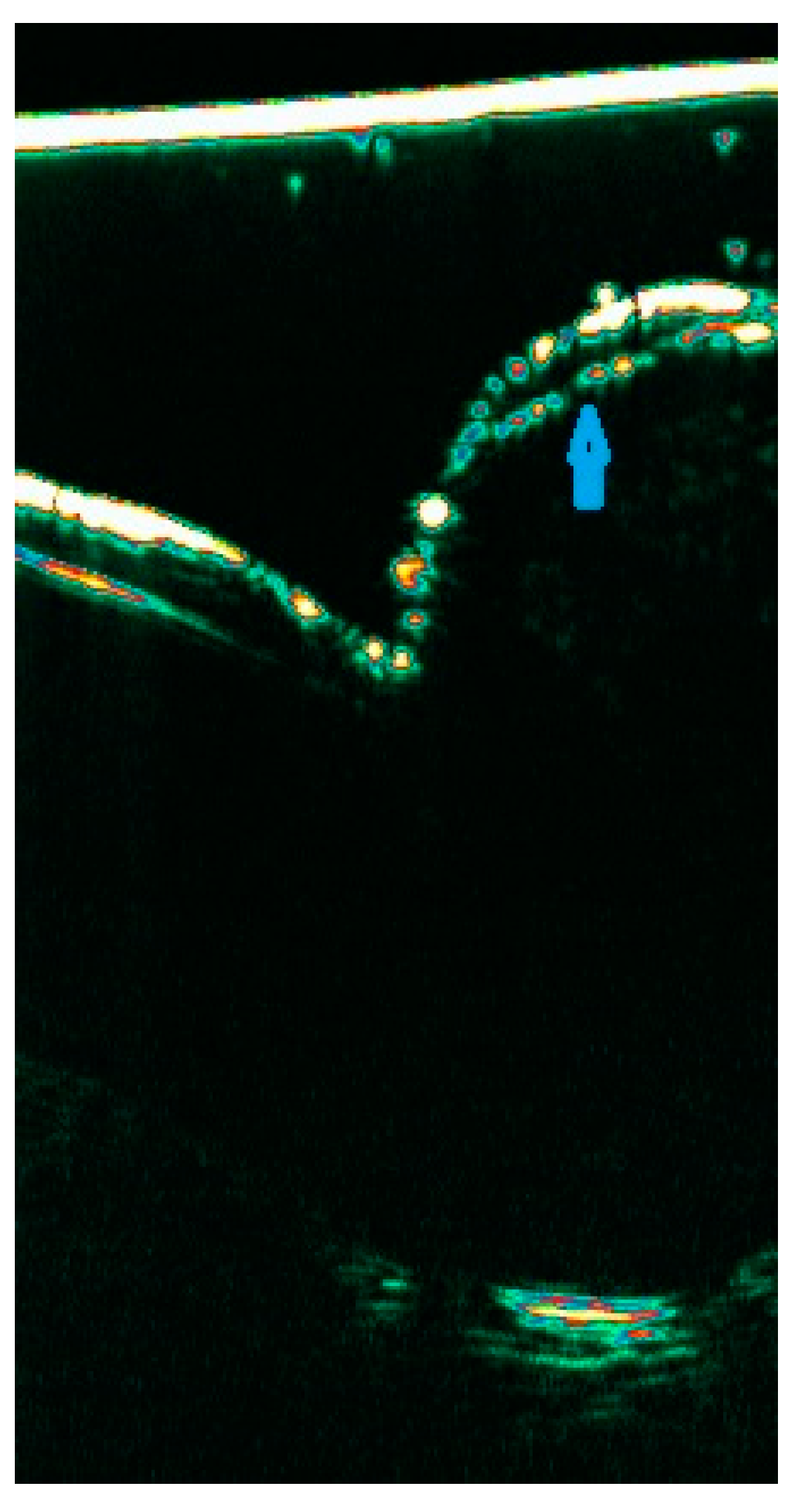 Diagnostics 15 00332 g009
