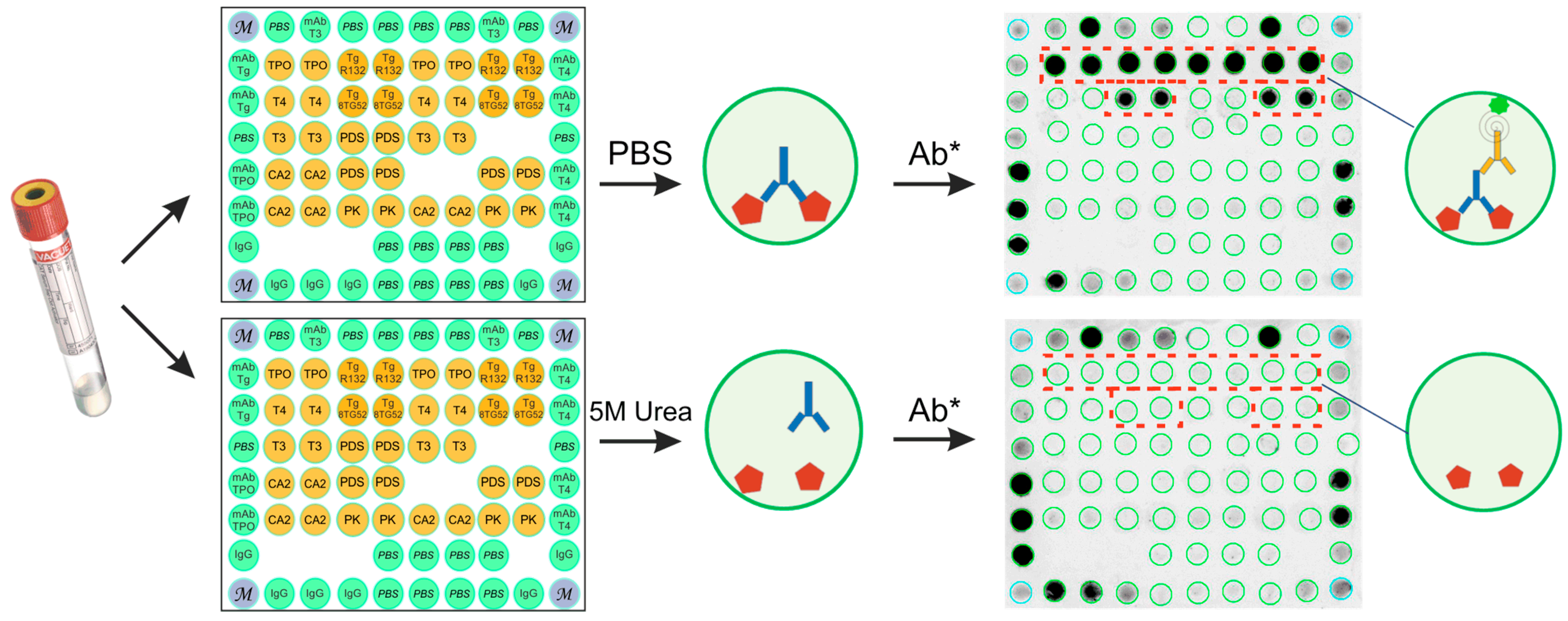 Diagnostics 15 00341 g002