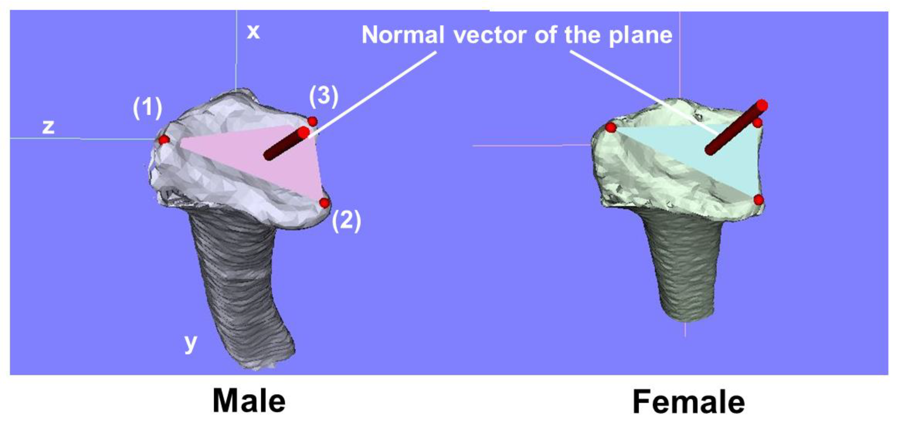 Diagnostics 15 00345 g001