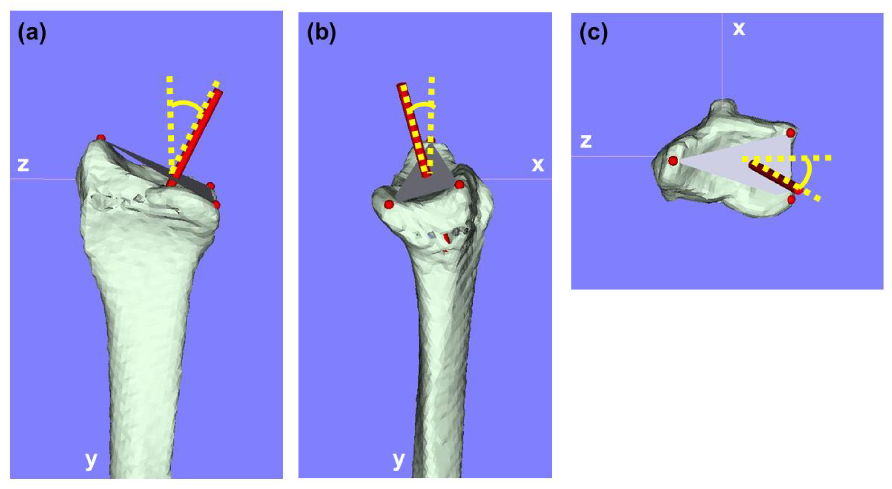Diagnostics 15 00345 g002