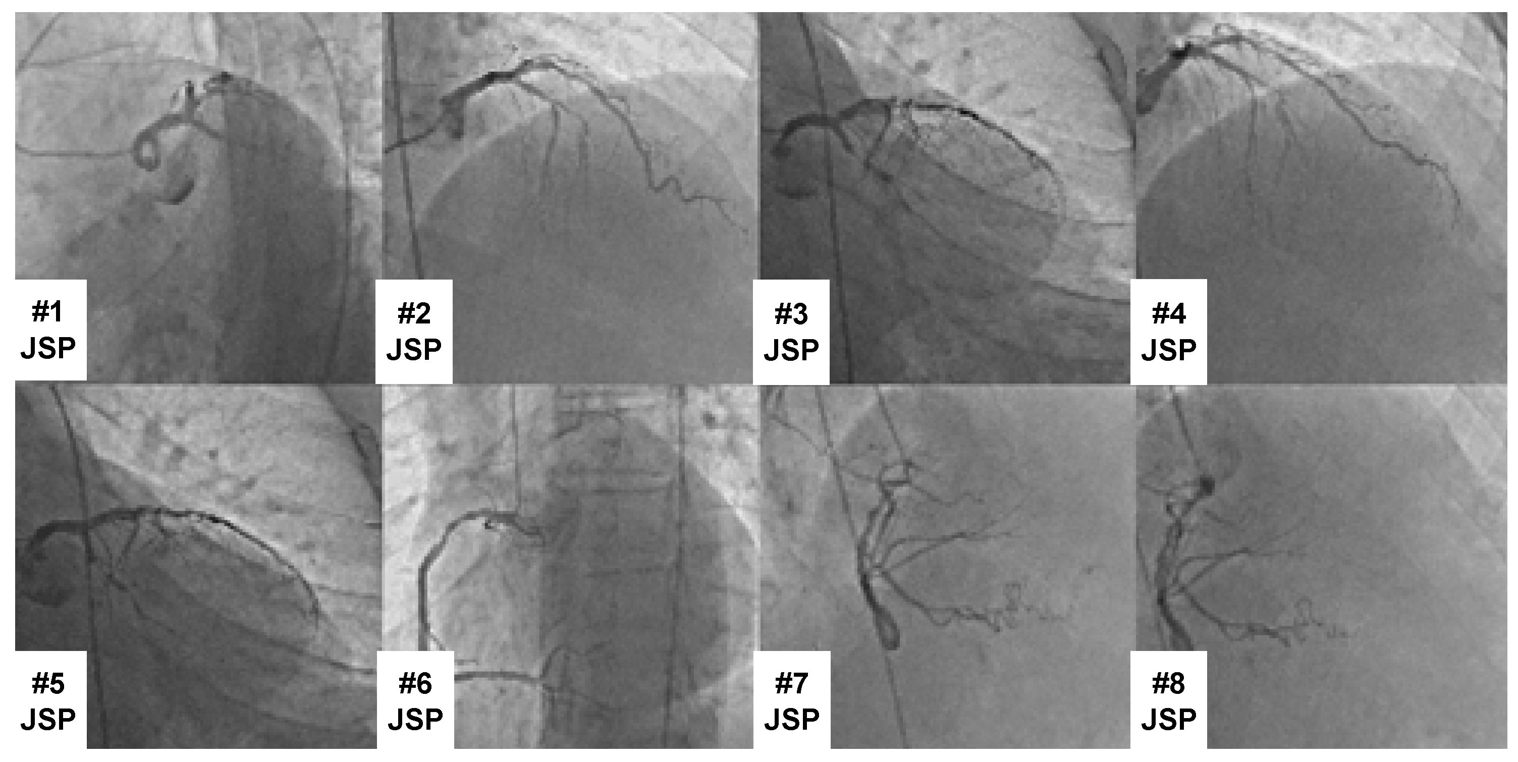 Diagnostics 15 00347 g001