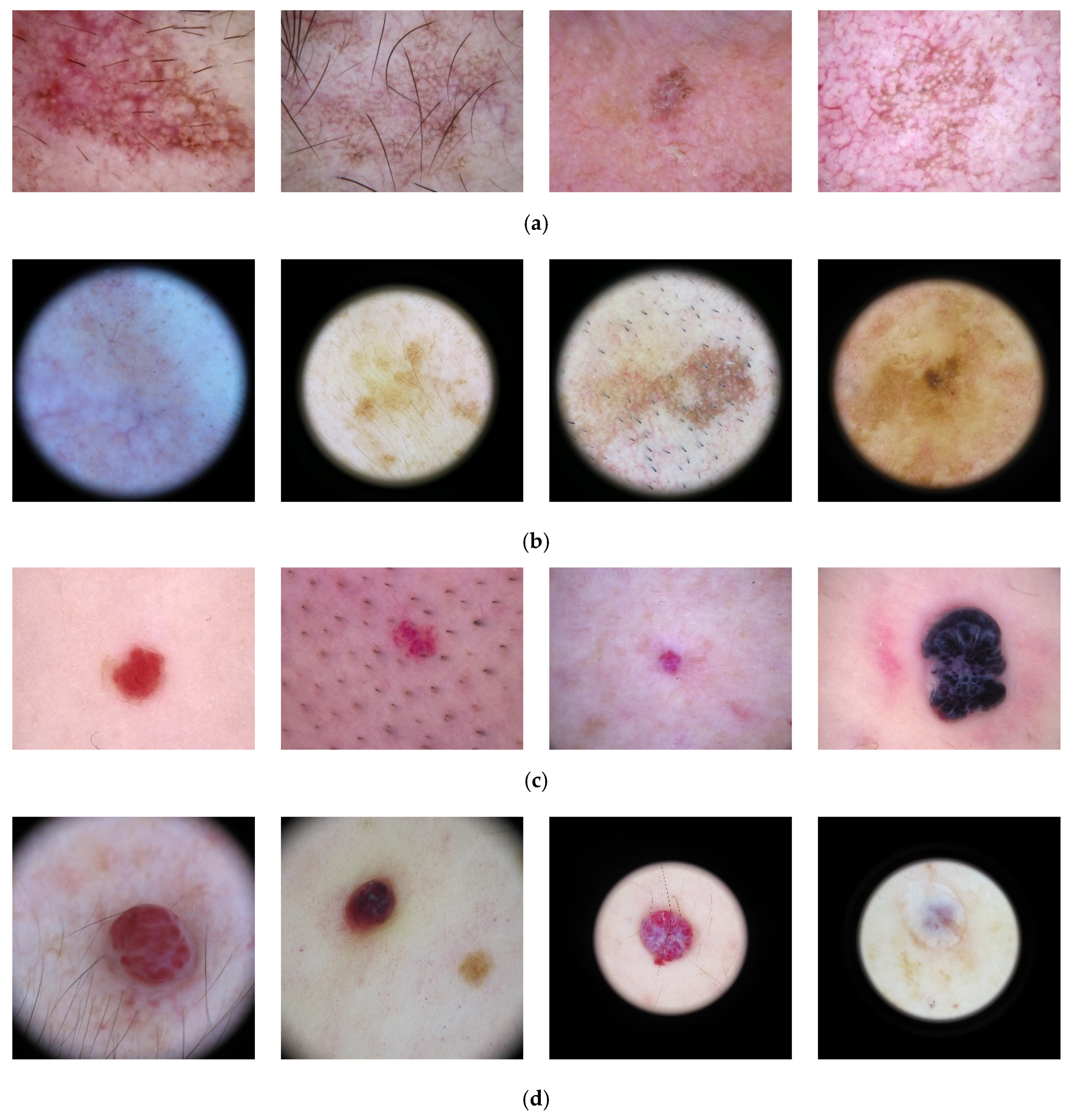 Diagnostics 15 00352 g001