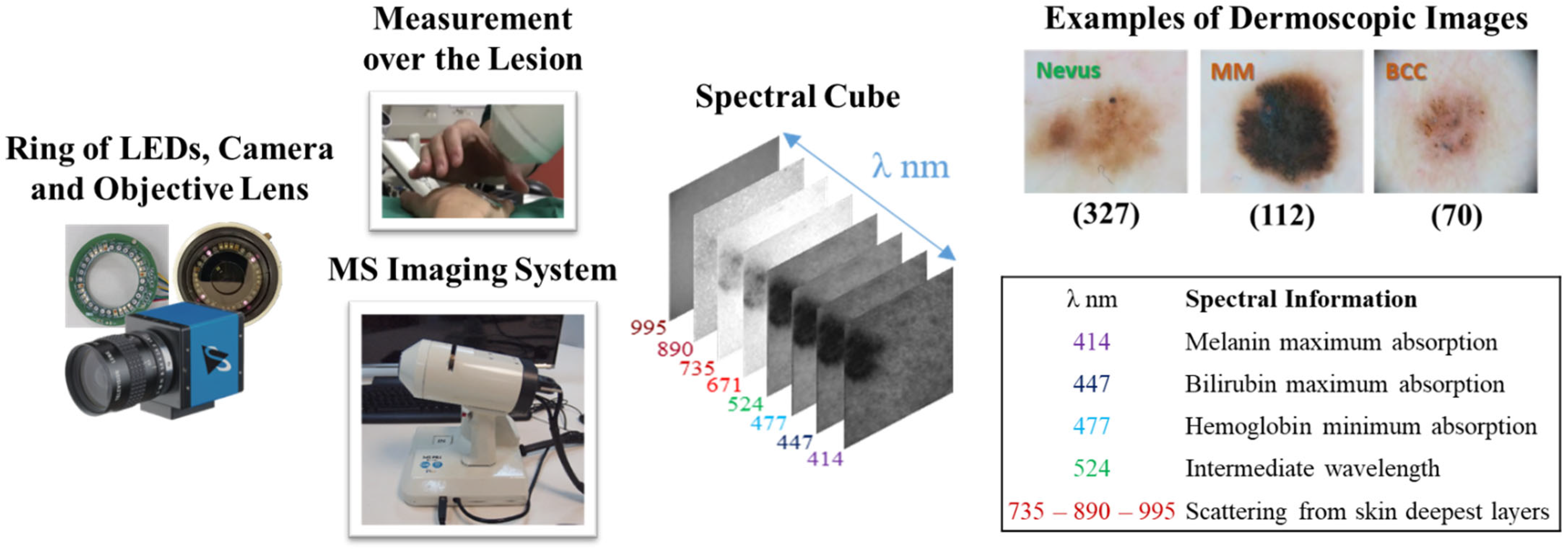 Diagnostics 15 00355 g001