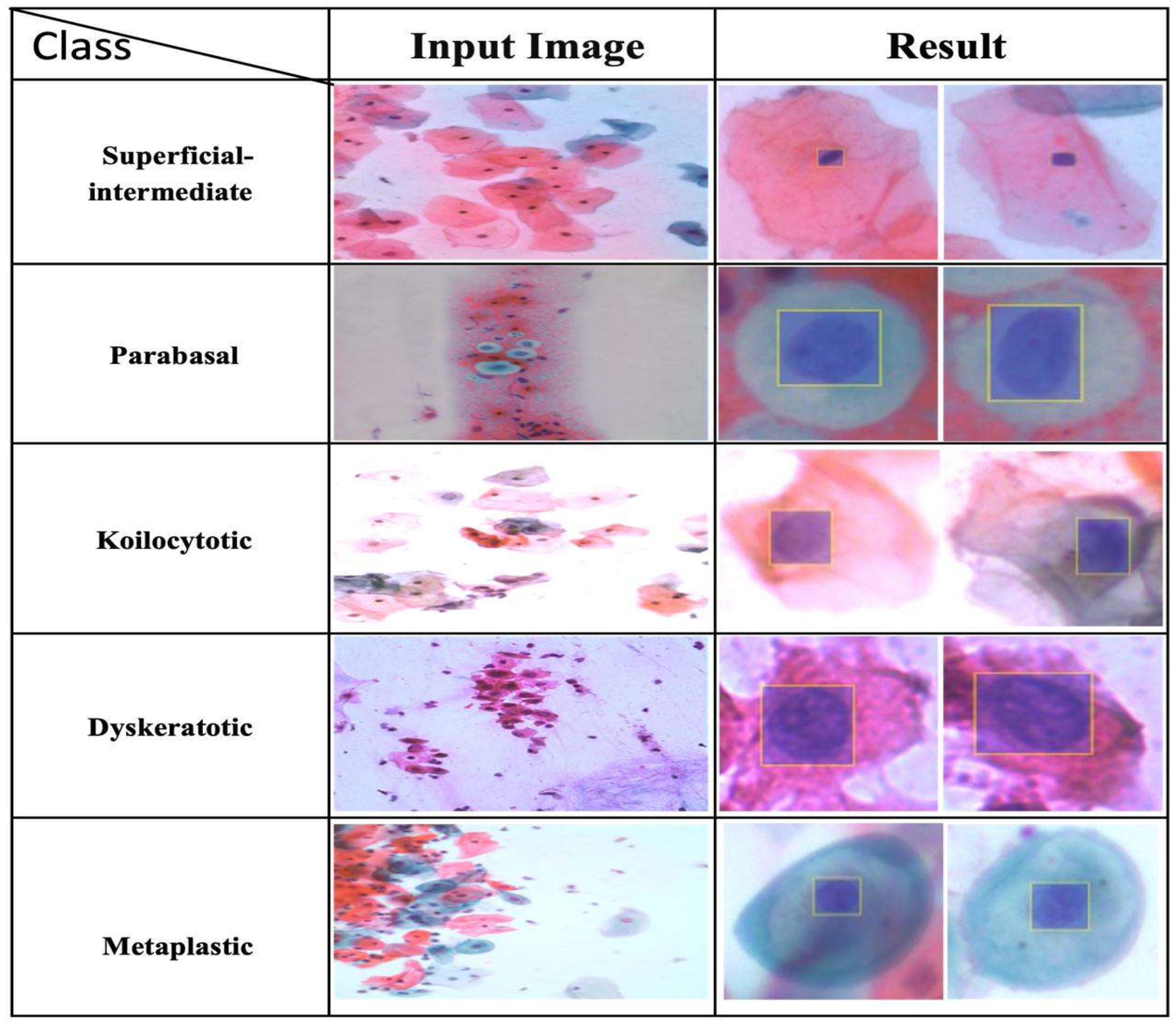 Diagnostics 15 00364 g003