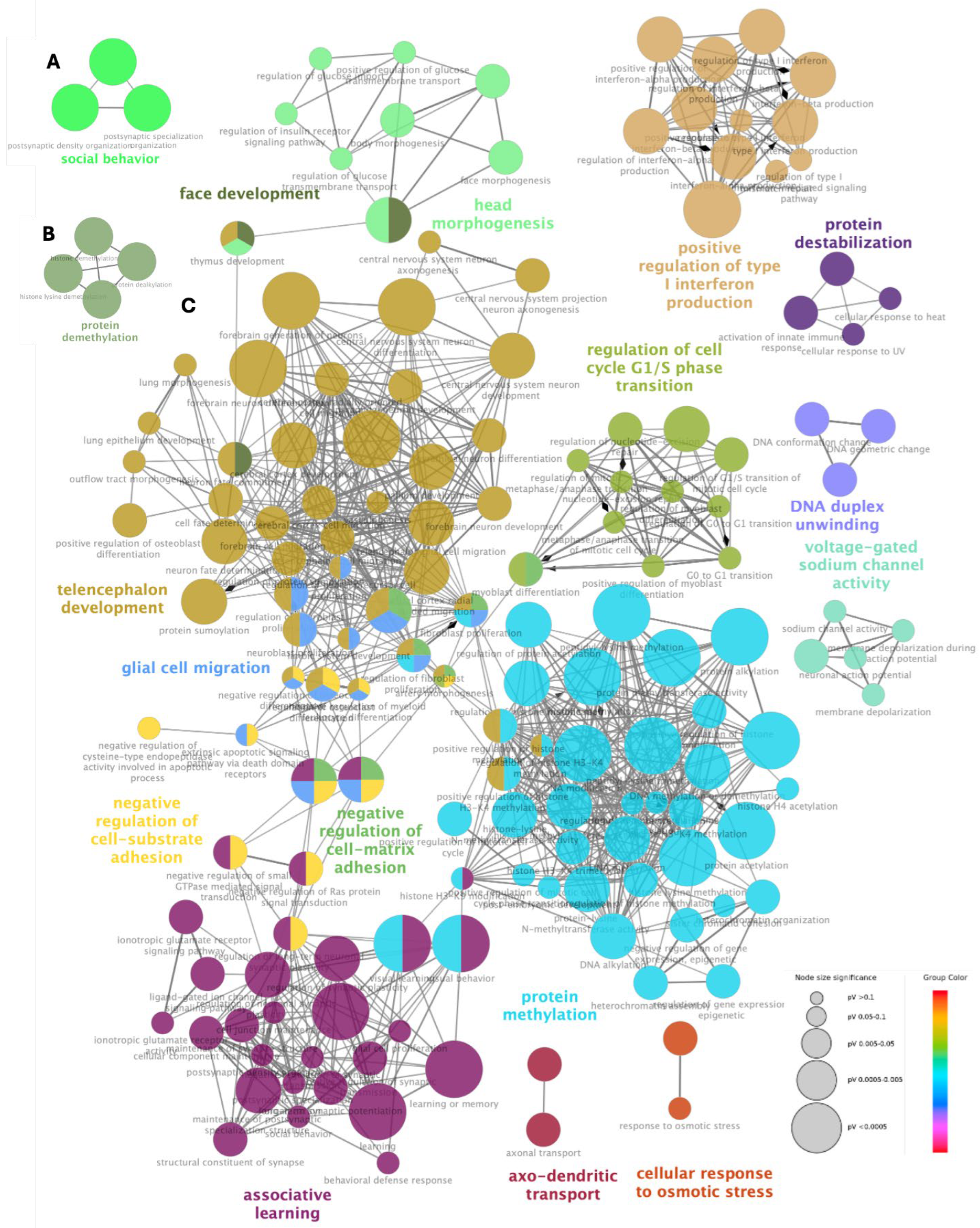 Diagnostics 15 00376 g003