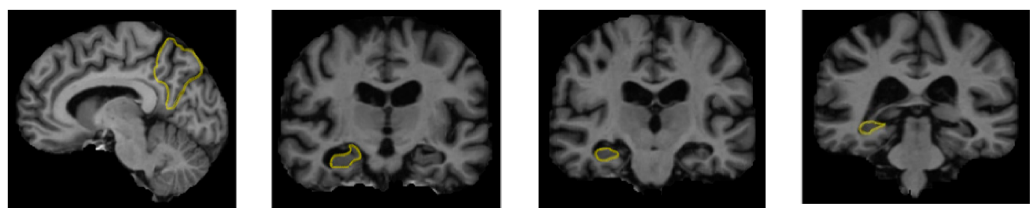 Diagnostics 15 00377 g002