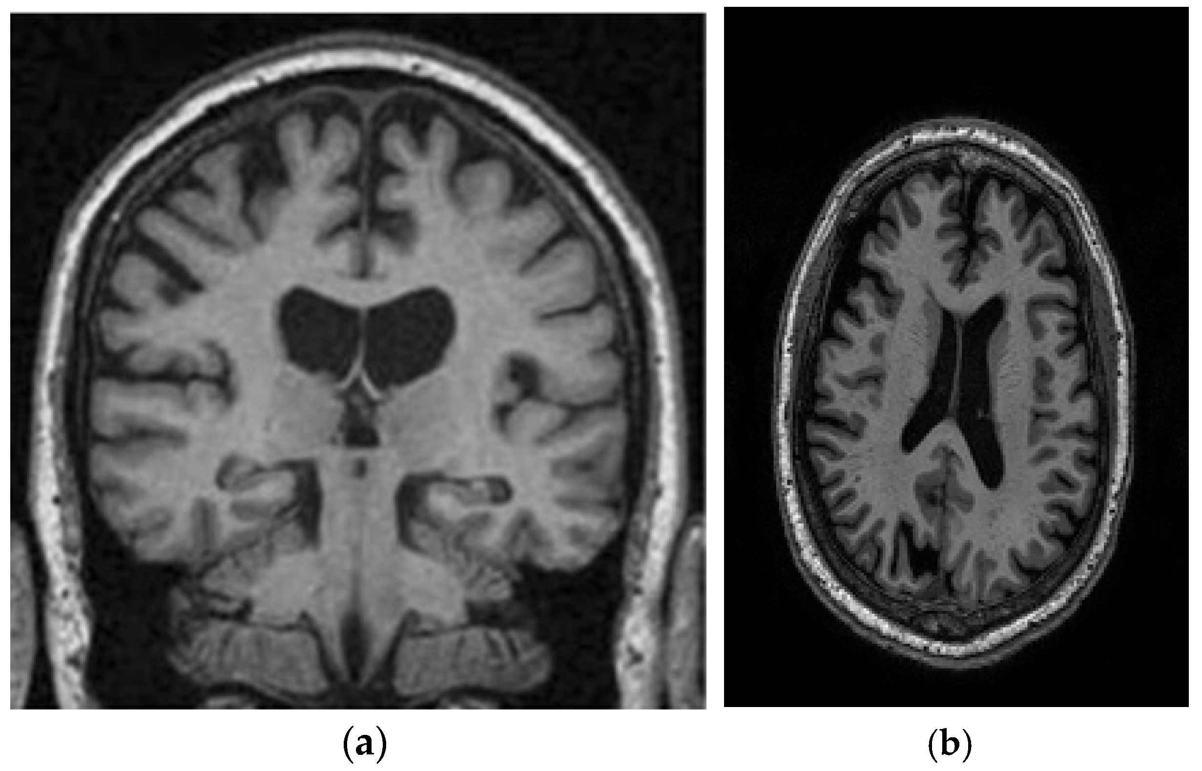 Diagnostics 15 00377 g008