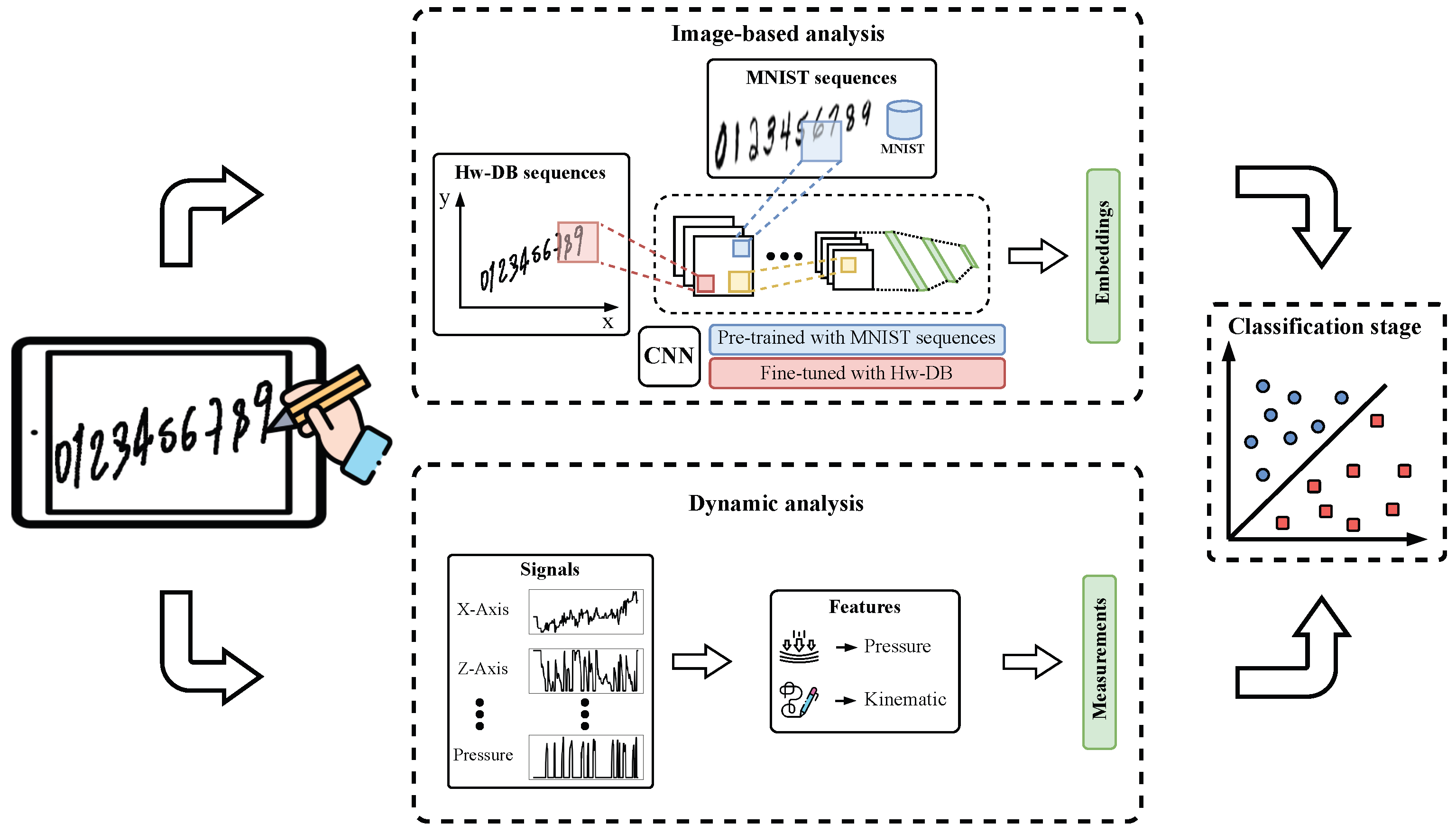 Diagnostics 15 00381 g001