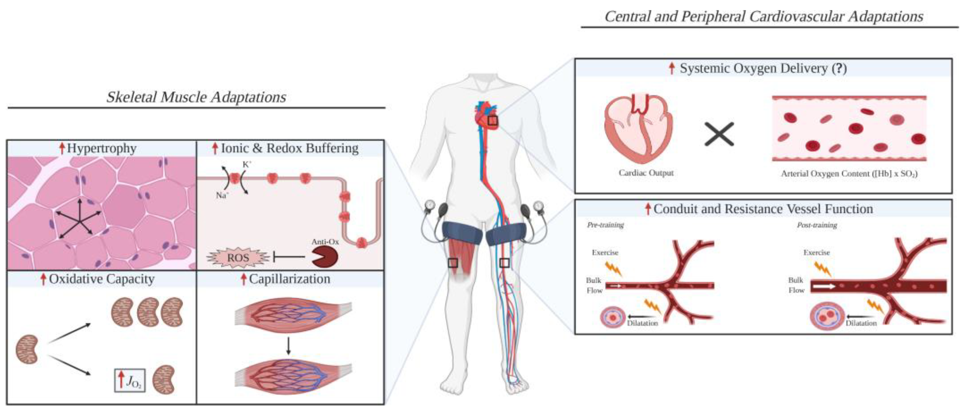 Diagnostics 15 00382 g003