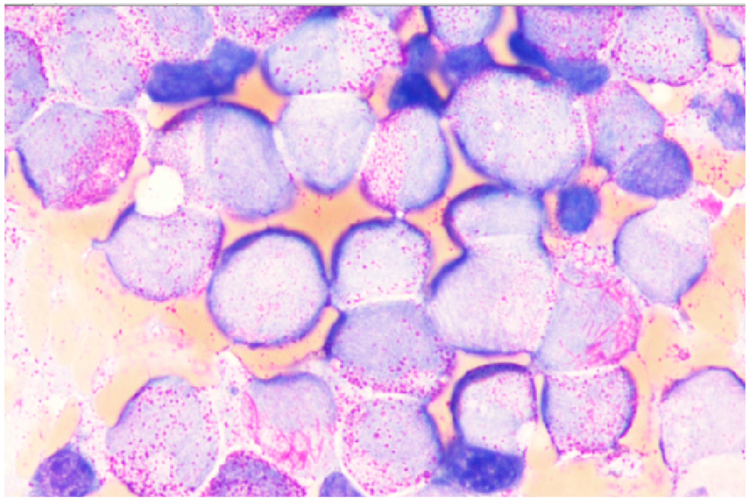 Diagnostics 15 00383 g006