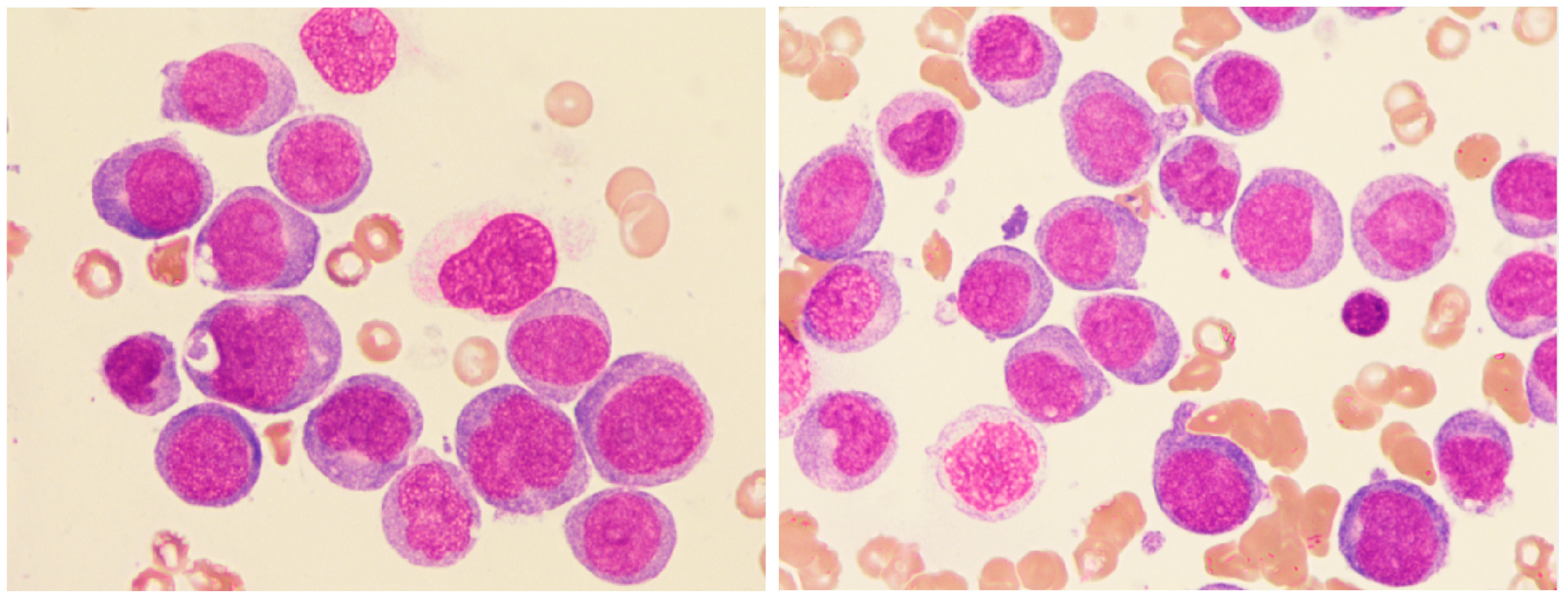 Diagnostics 15 00383 g008