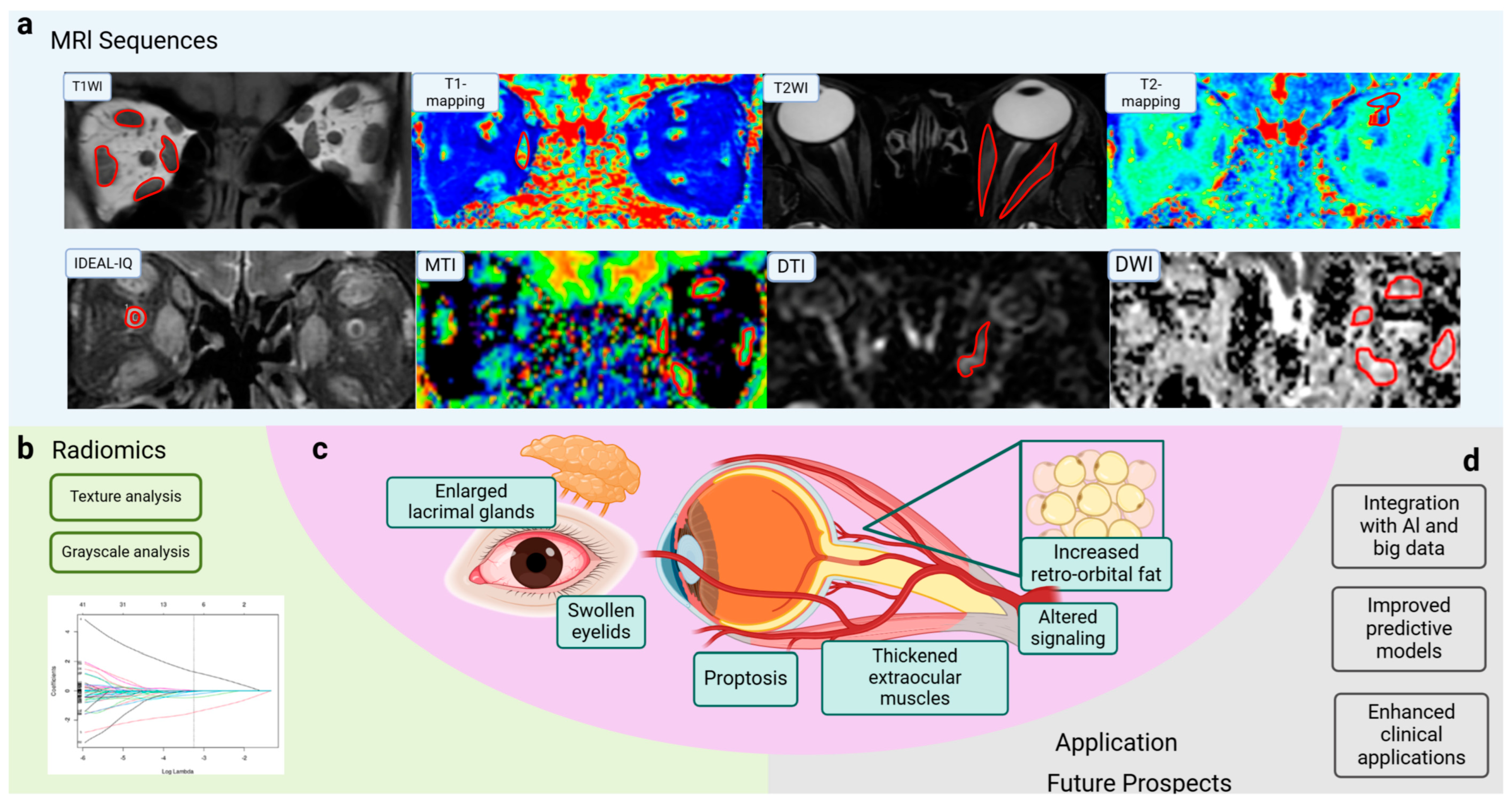 Diagnostics 15 00388 g001