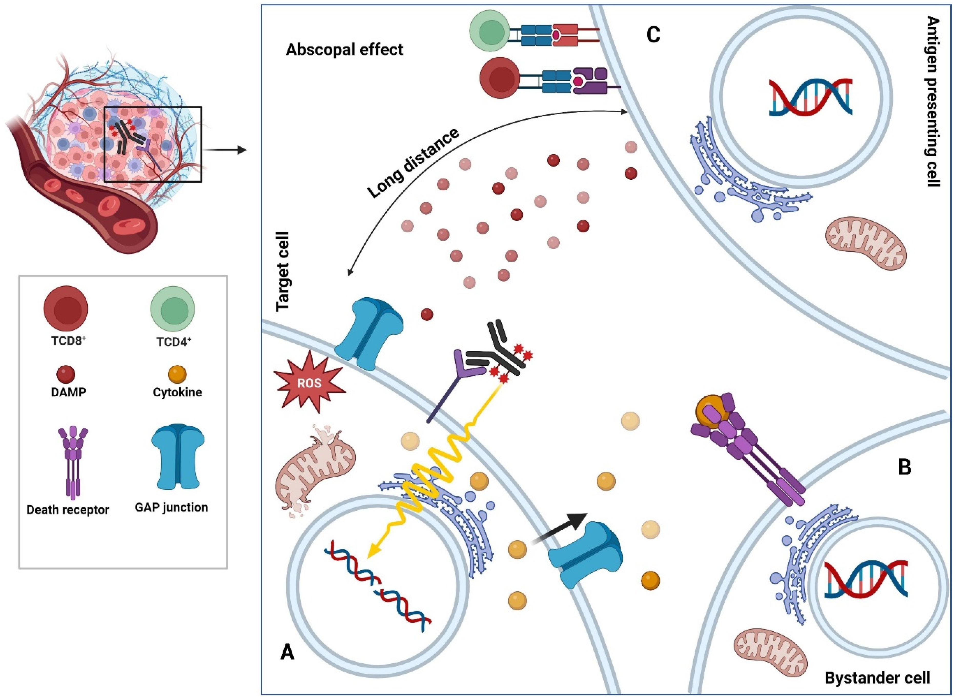 Diagnostics 15 00397 g003 Diagnostics 15 00397 g003