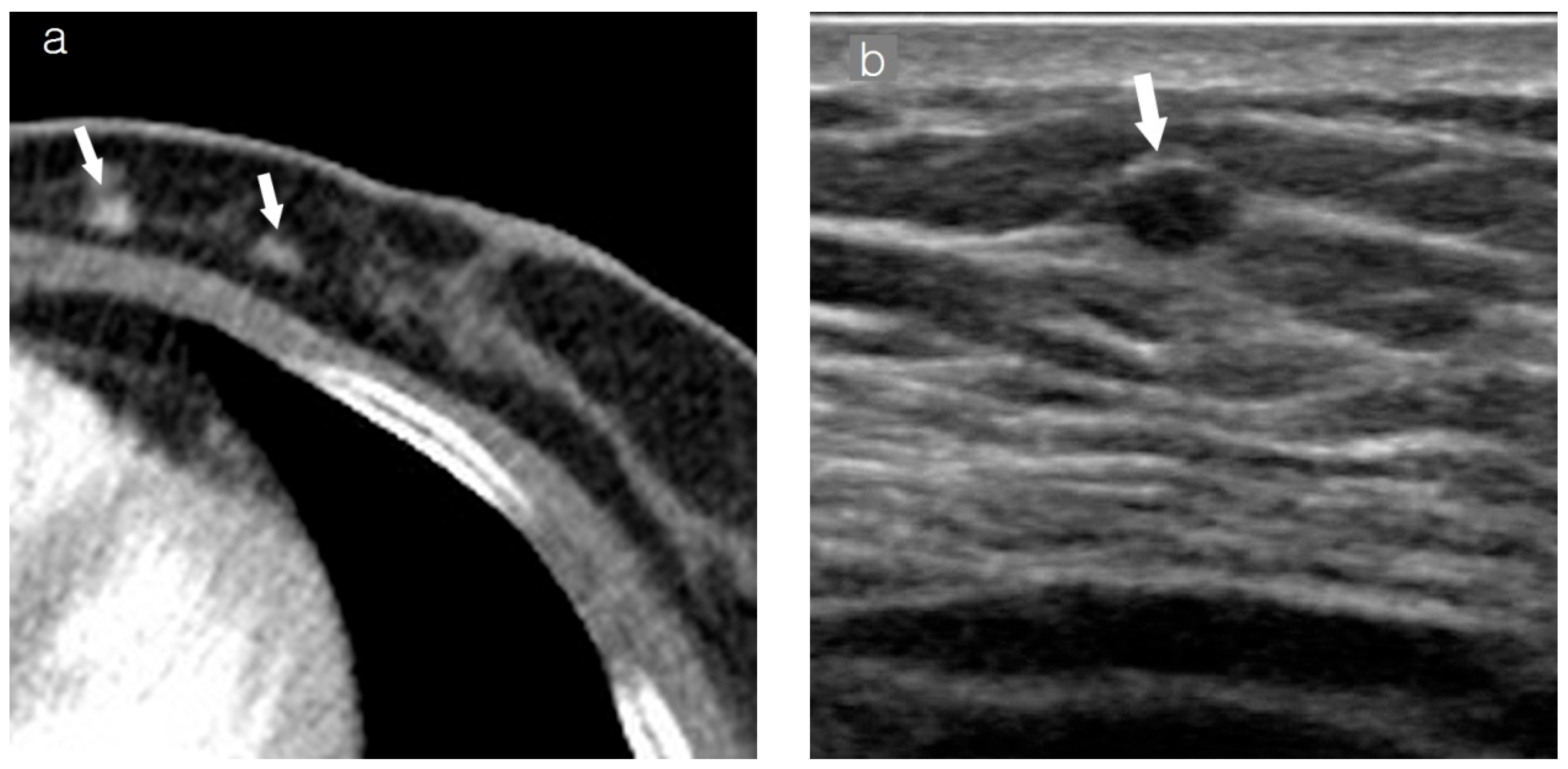 Diagnostics 15 00407 g001a