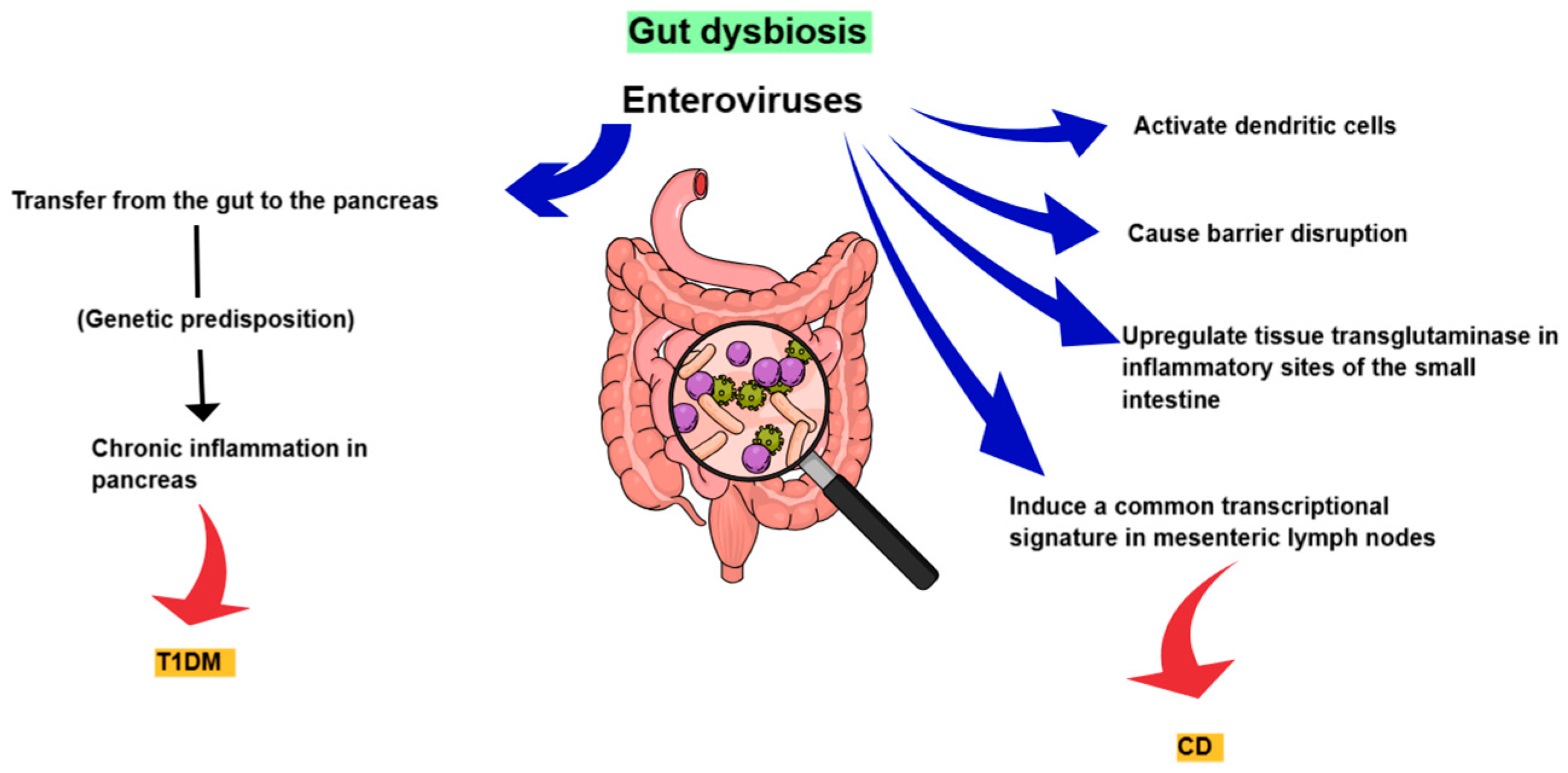 Diagnostics 15 00413 g005 Diagnostics 15 00413 g005