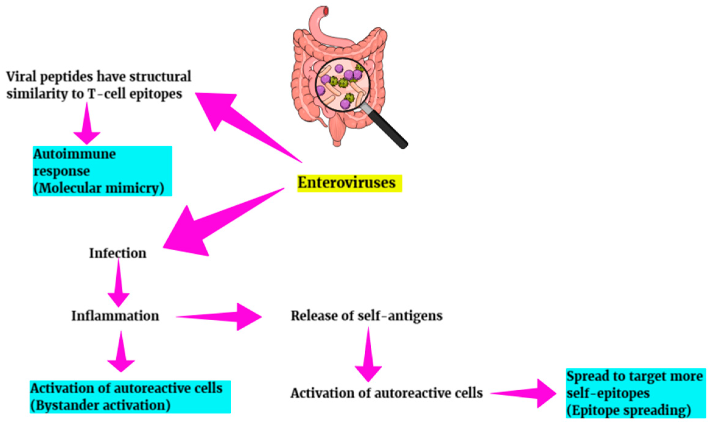 Diagnostics 15 00413 g006 Diagnostics 15 00413 g006