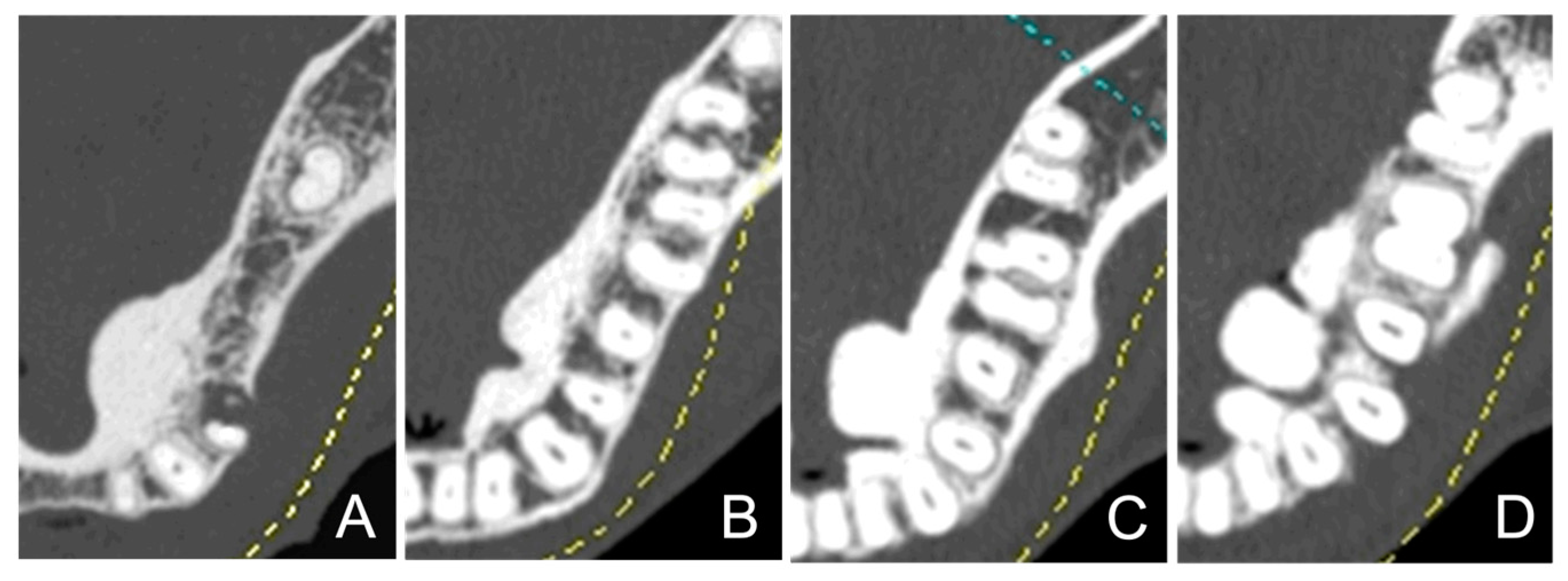 Diagnostics 15 00414 g002