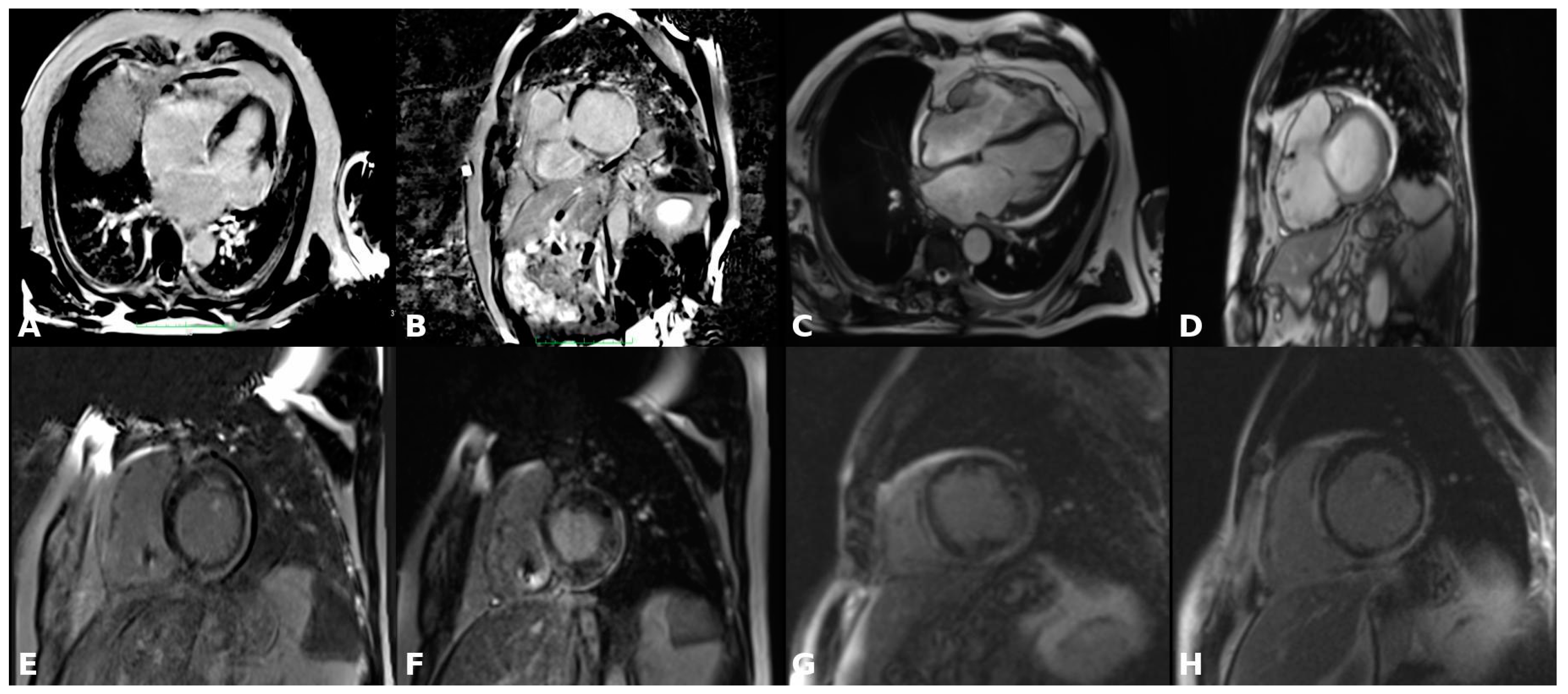 Diagnostics 15 00420 g001 Diagnostics 15 00420 g001
