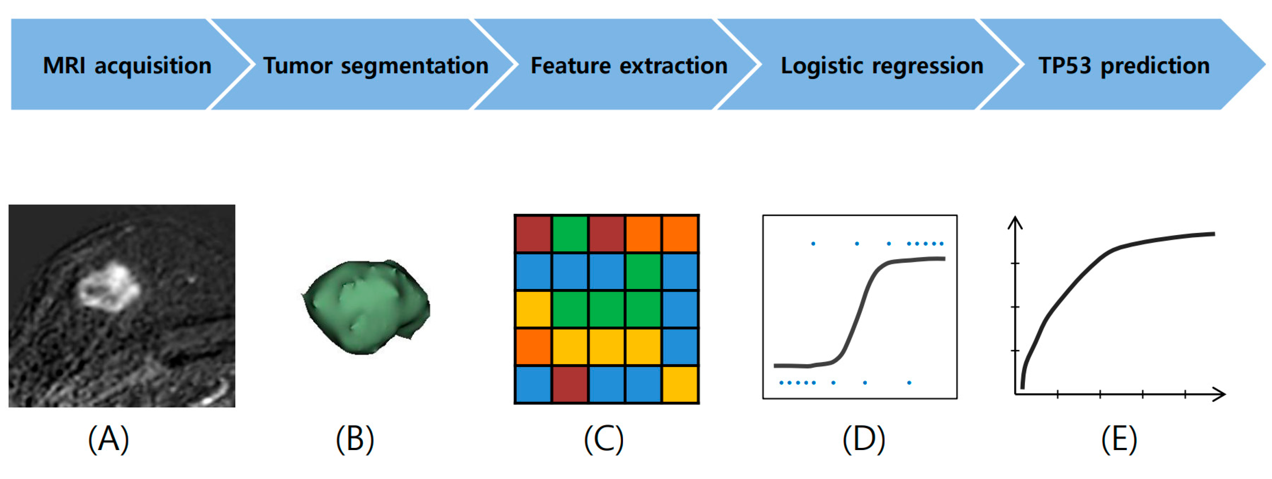 Diagnostics 15 00428 g001