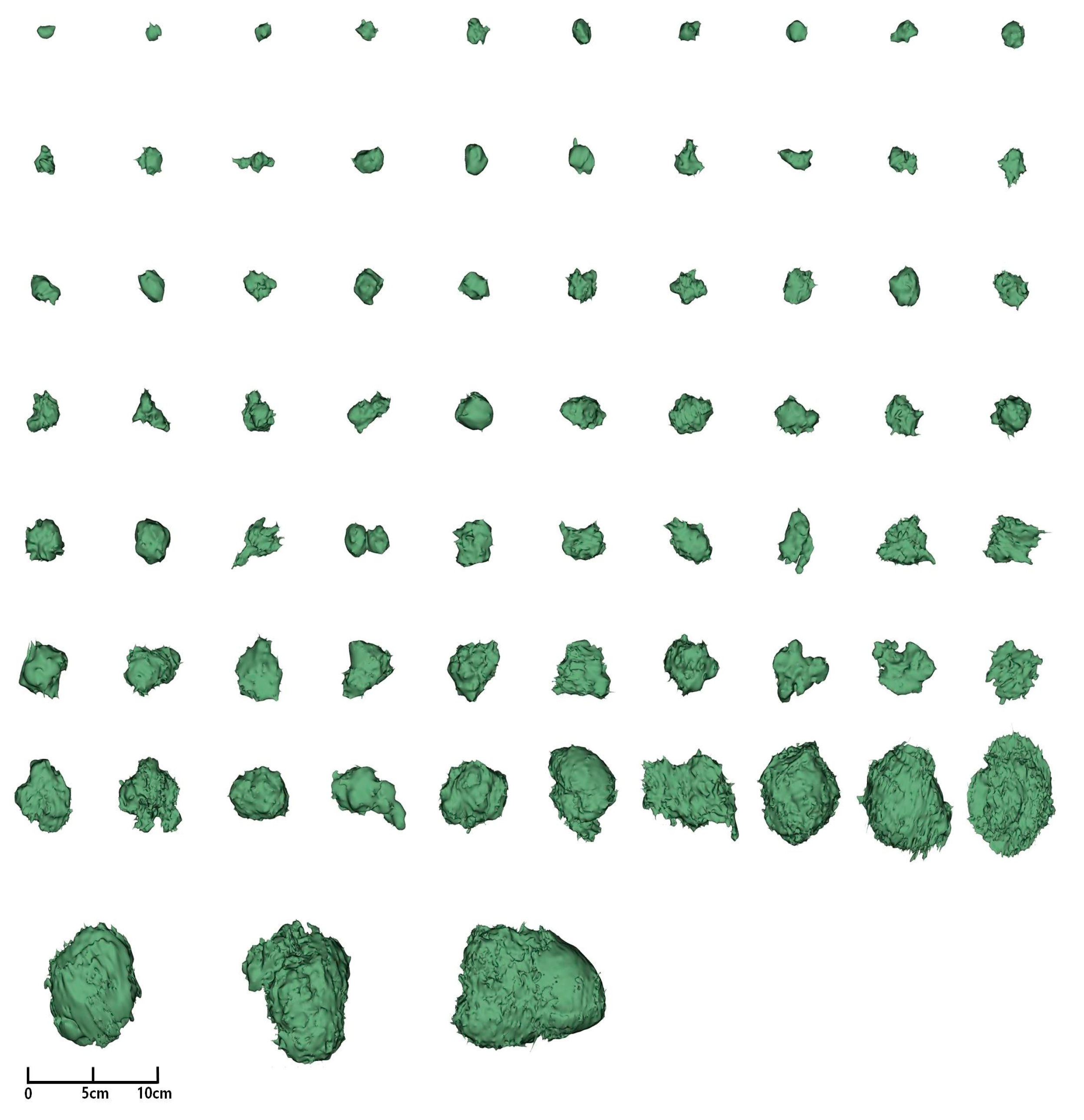 Diagnostics 15 00428 g004