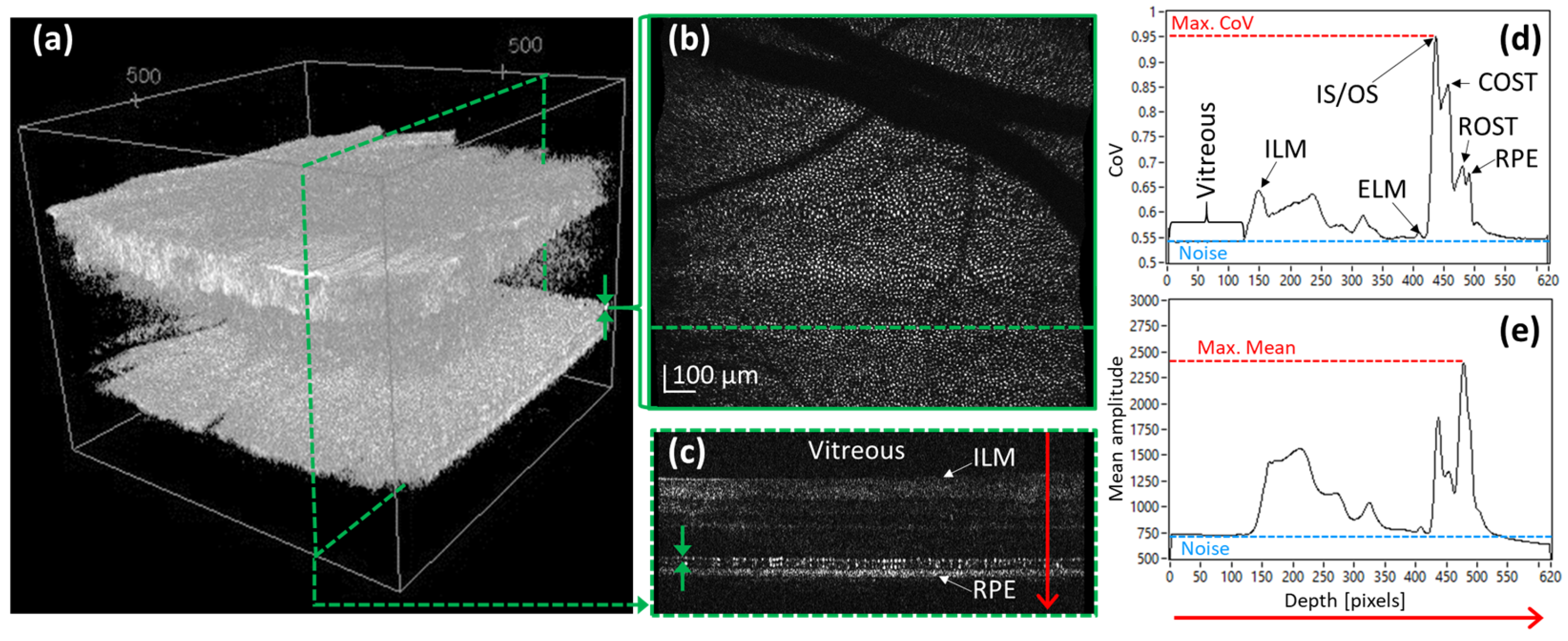 Diagnostics 15 00429 g002