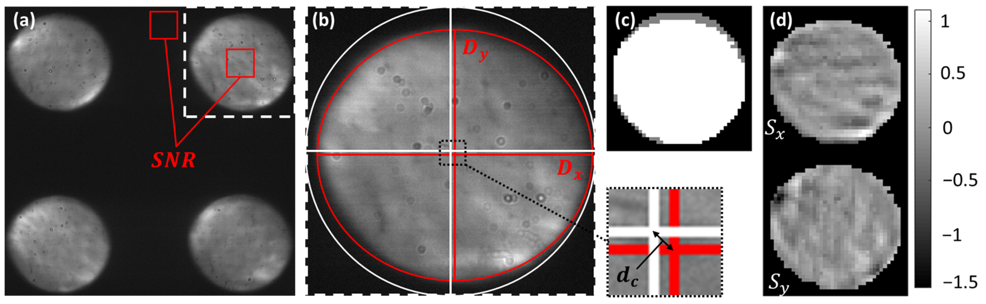 Diagnostics 15 00429 g004