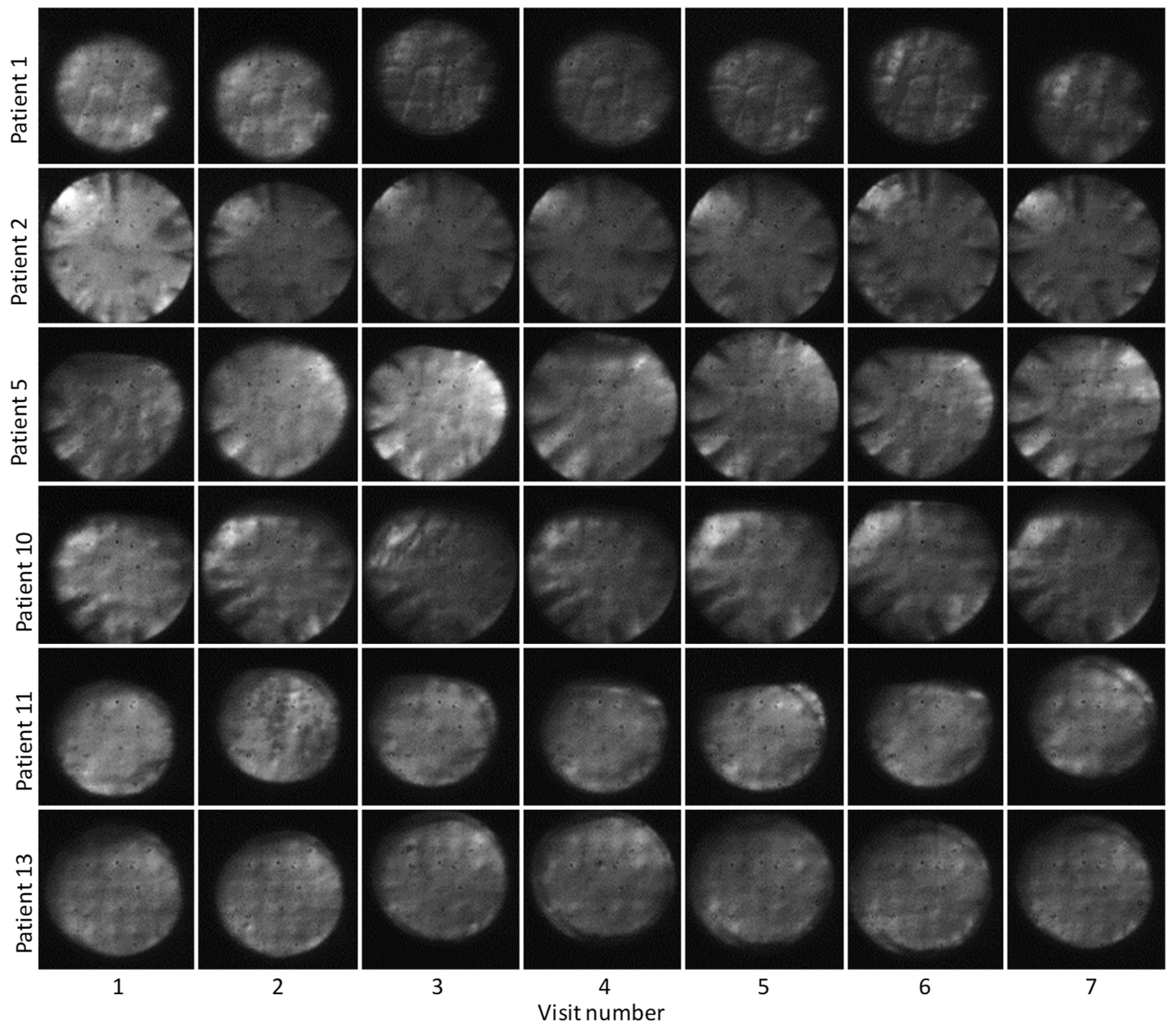 Diagnostics 15 00429 g007