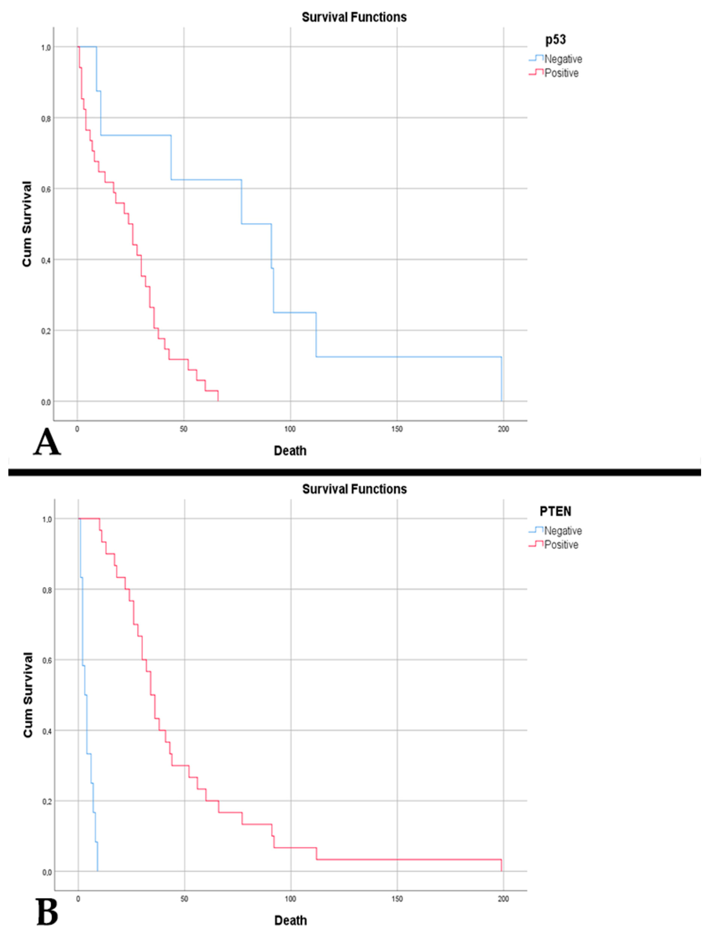 Diagnostics 15 00438 g004