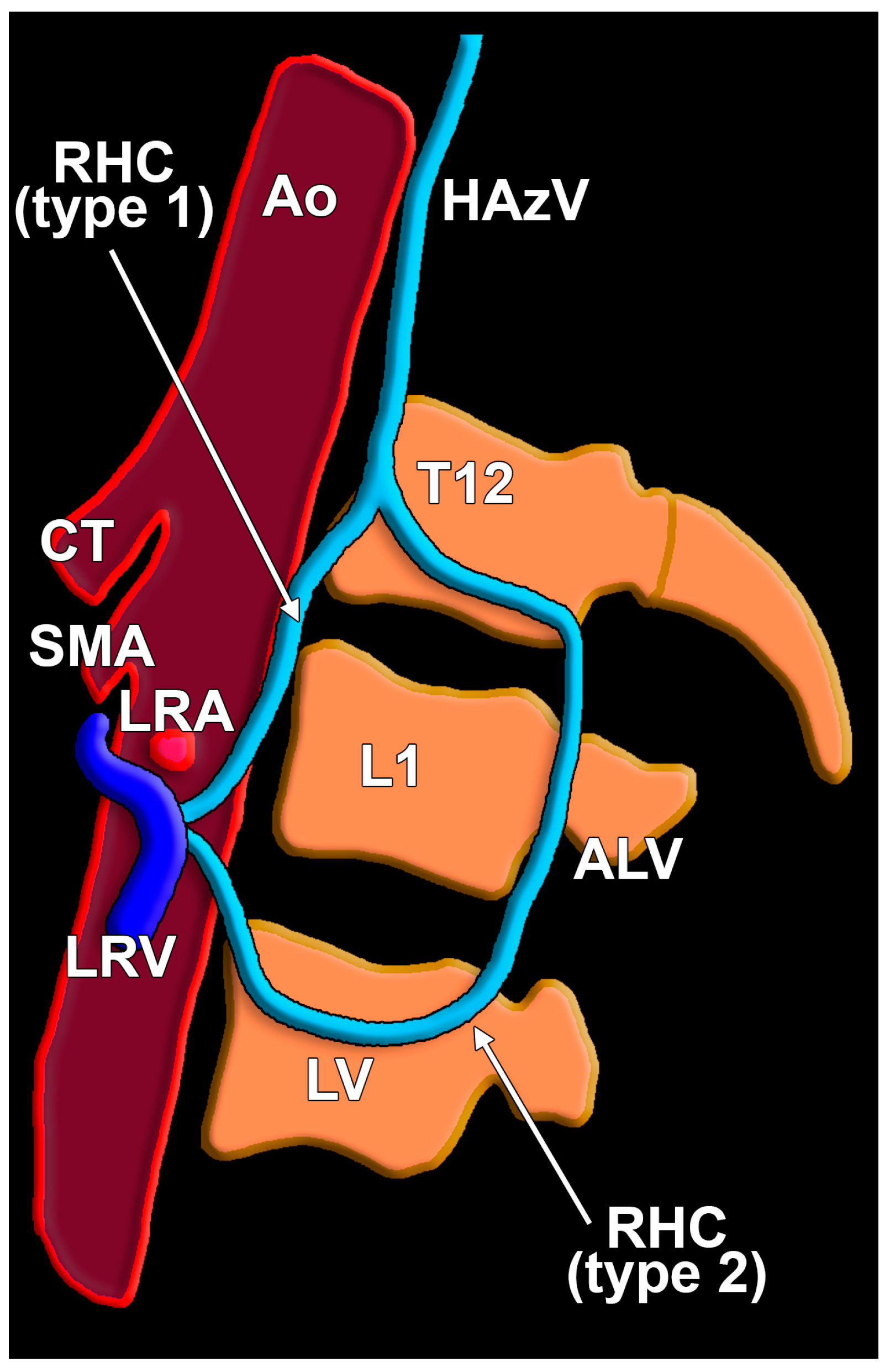 Diagnostics 15 00441 g001 Diagnostics 15 00441 g001