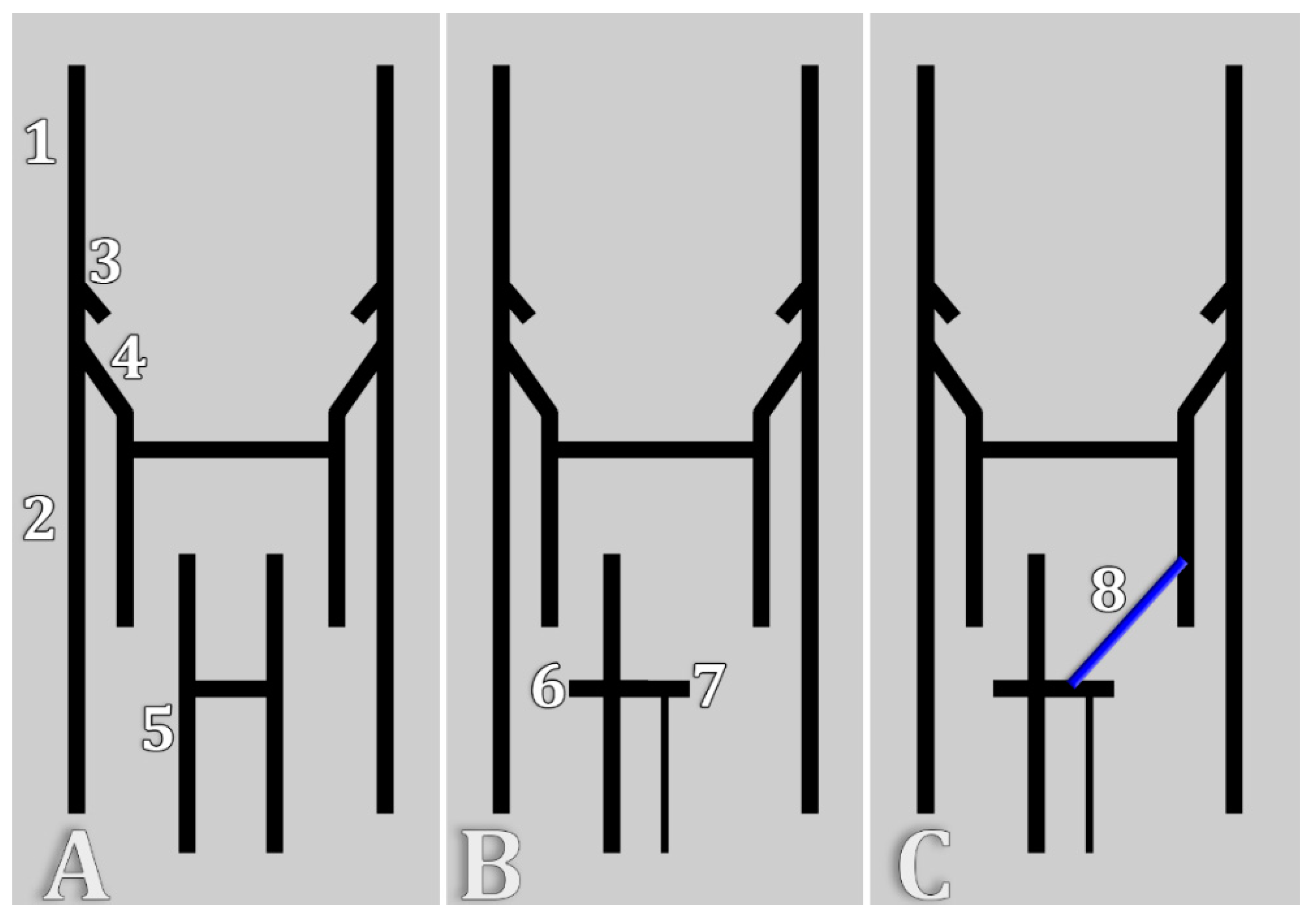 Diagnostics 15 00441 g005 Diagnostics 15 00441 g005