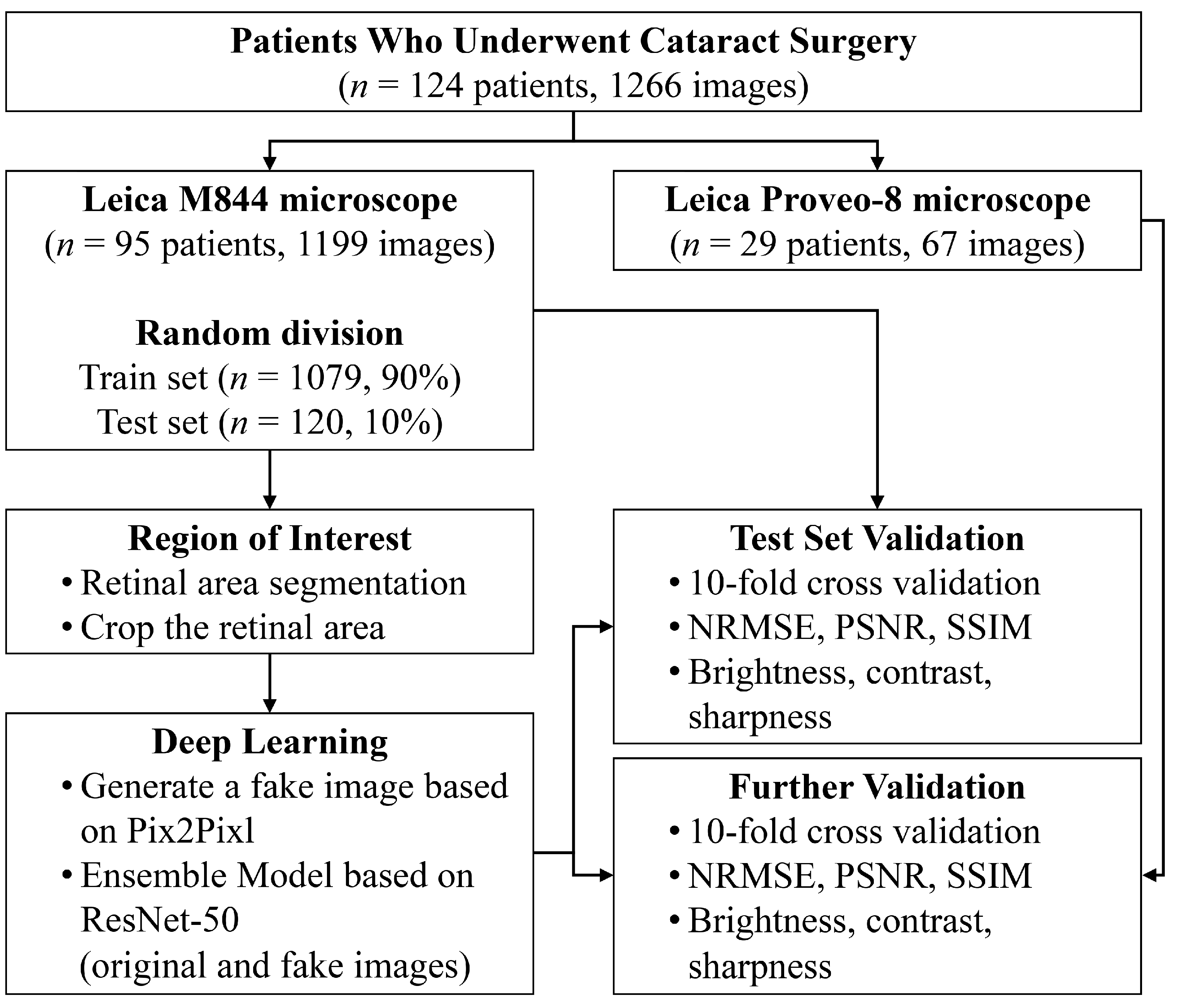 Diagnostics 15 00445 g001