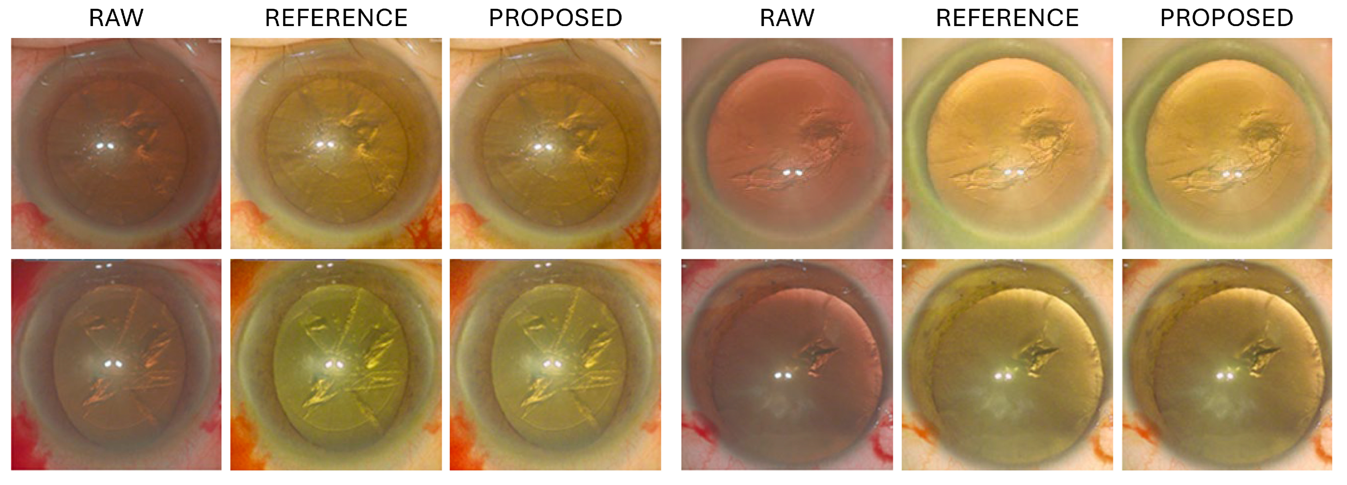 Diagnostics 15 00445 g005
