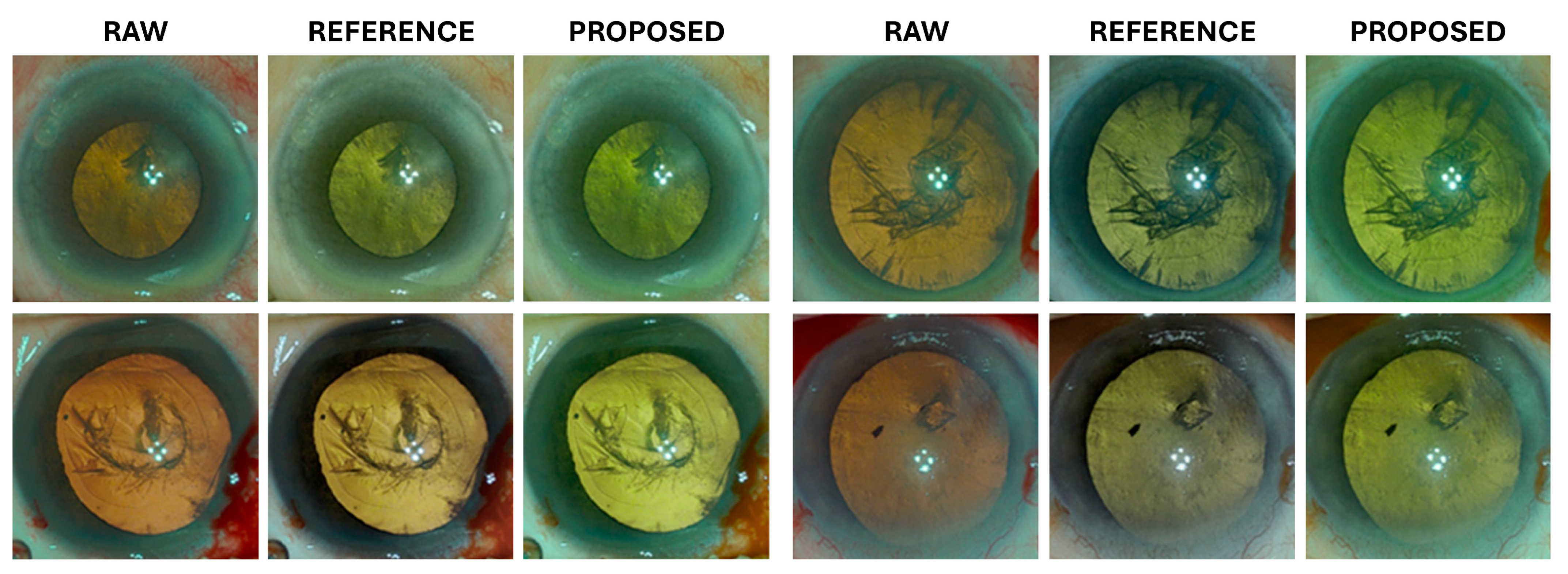 Diagnostics 15 00445 g006