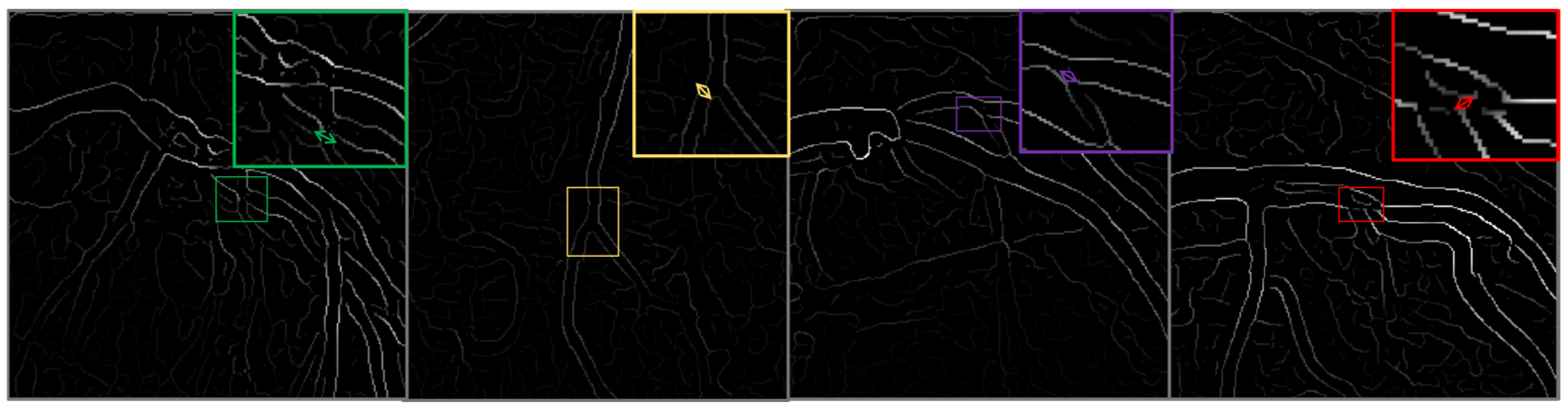 Diagnostics 15 00446 g003