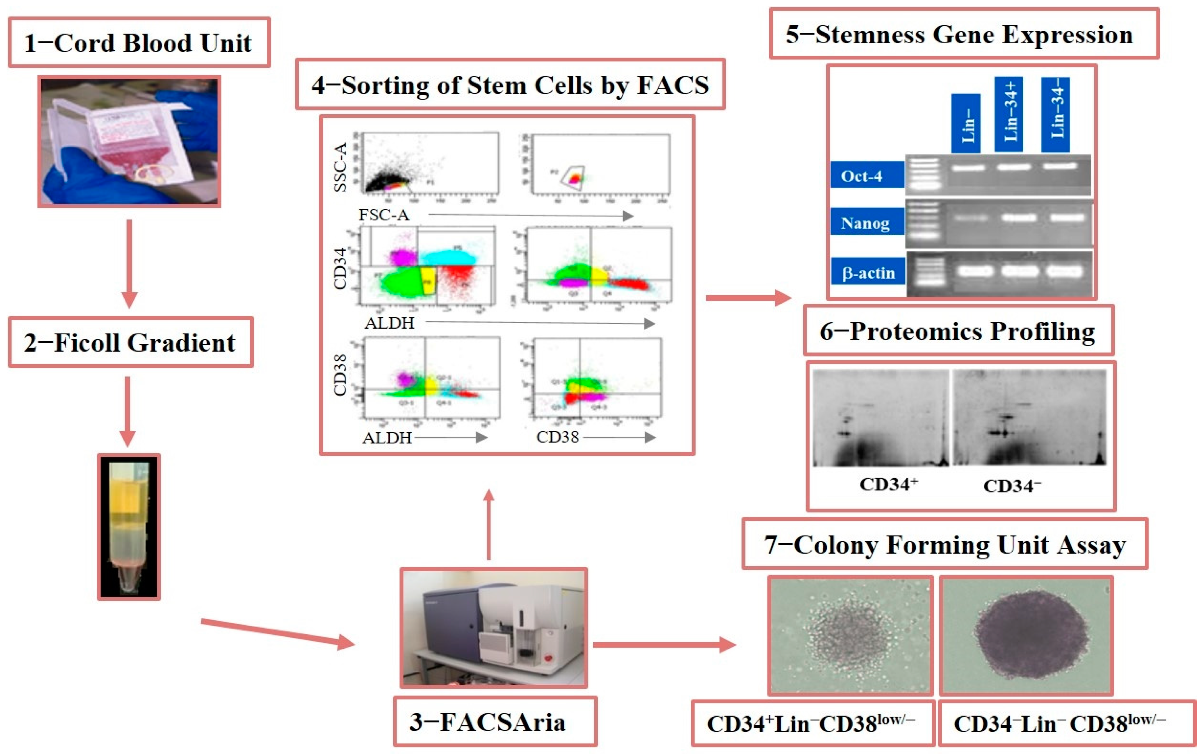 Diagnostics 15 00447 g001