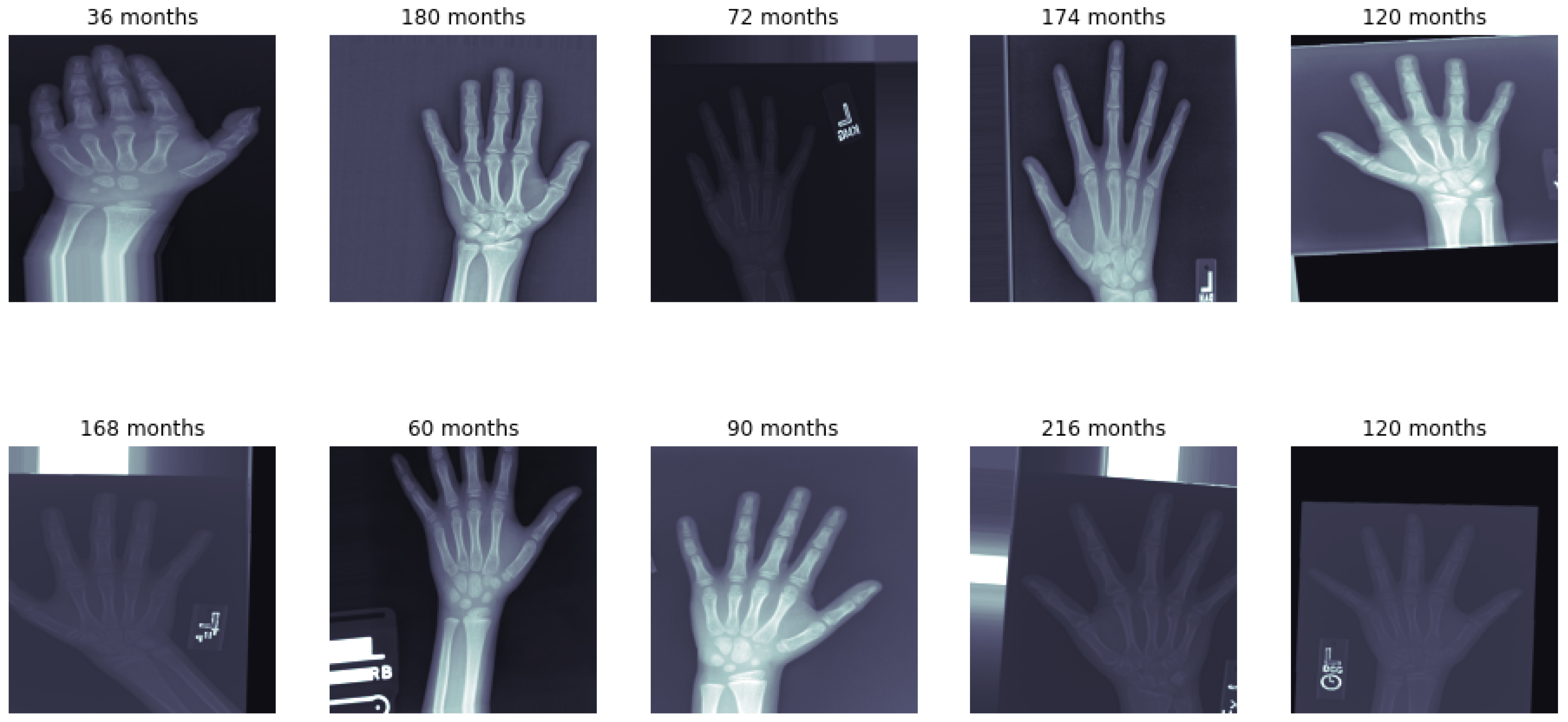 Diagnostics 15 00452 g002